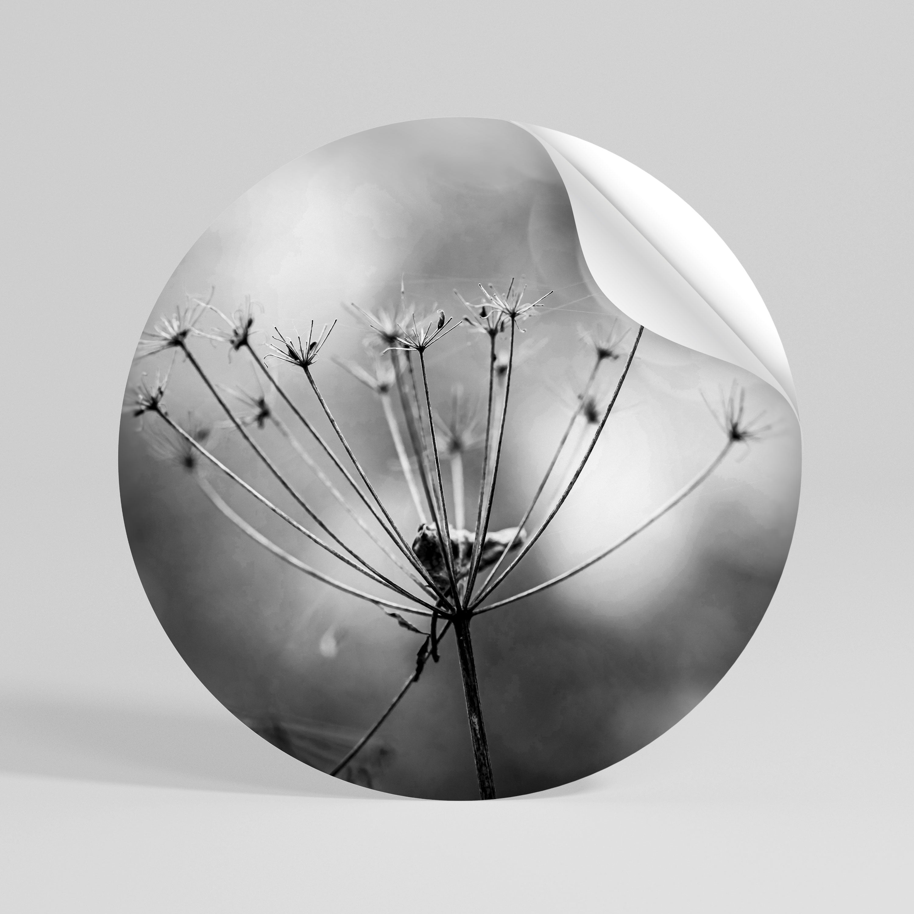 MINIMALIST BLOOM Naklejka - okrągła