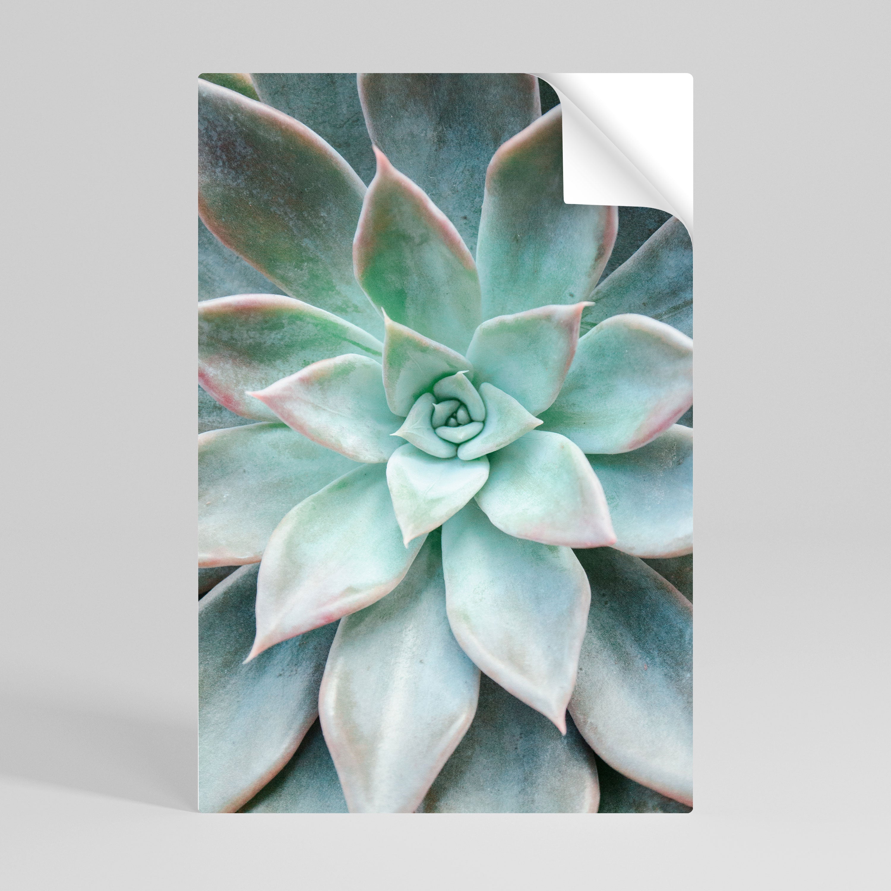 GEOMETRIC GARDEN MAGIC Naklejka/Plakat pionowy