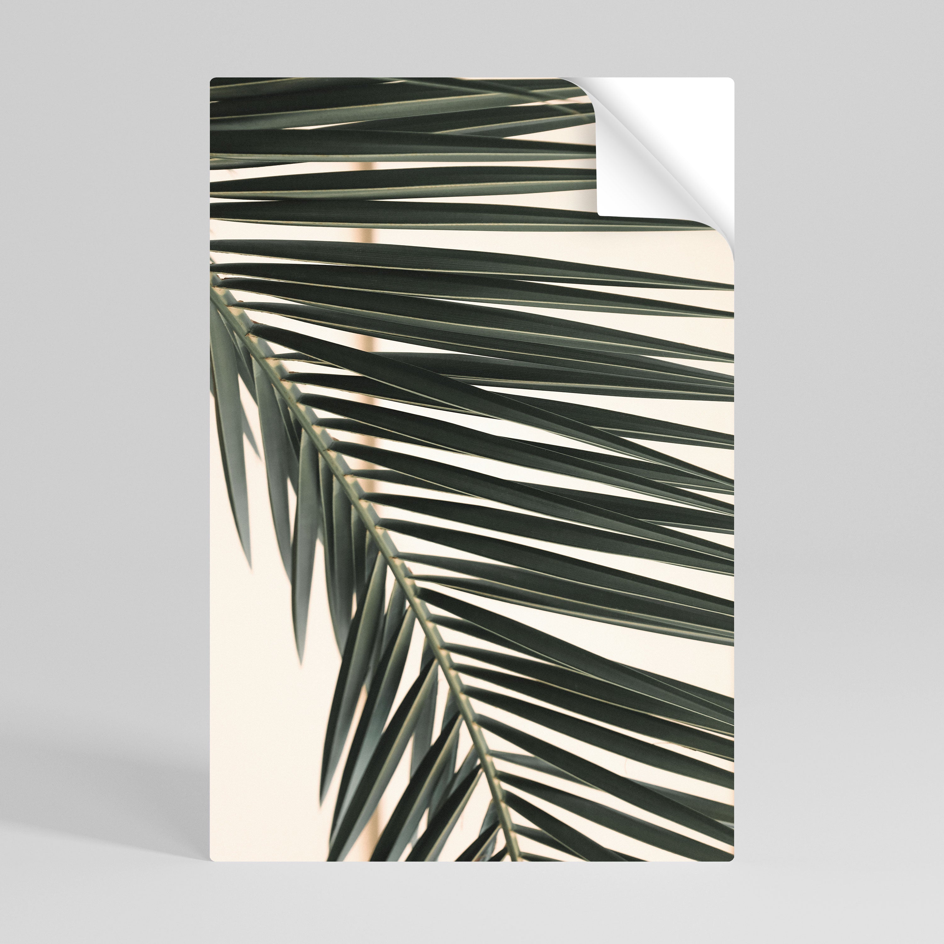 PALM SYMPHONY Naklejka/Plakat pionowy