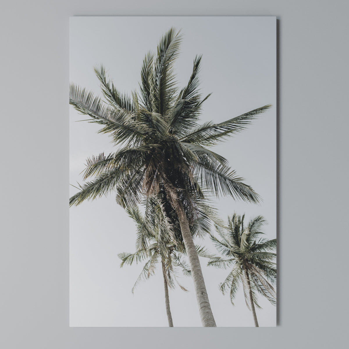 PALM PARADISE SIGHT Pionowy obraz na płótnie