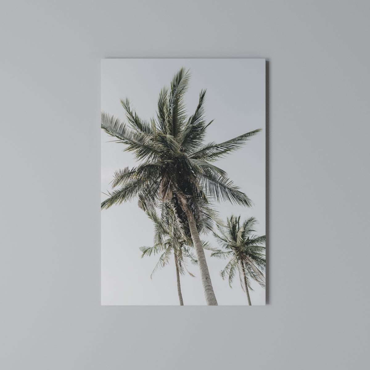PALM PARADISE SIGHT Pionowy obraz na płótnie