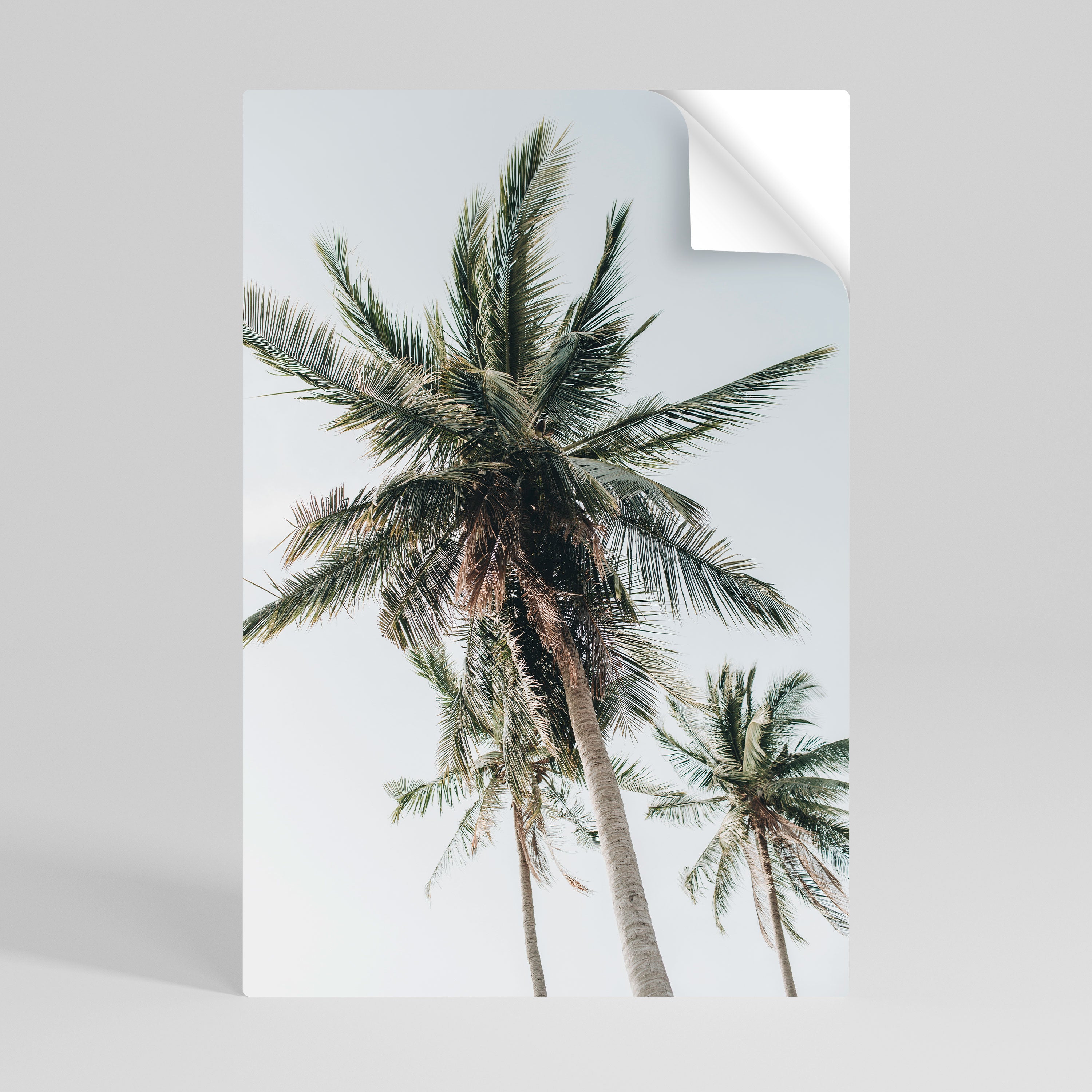 PALM PARADISE SIGHT Naklejka/Plakat pionowy