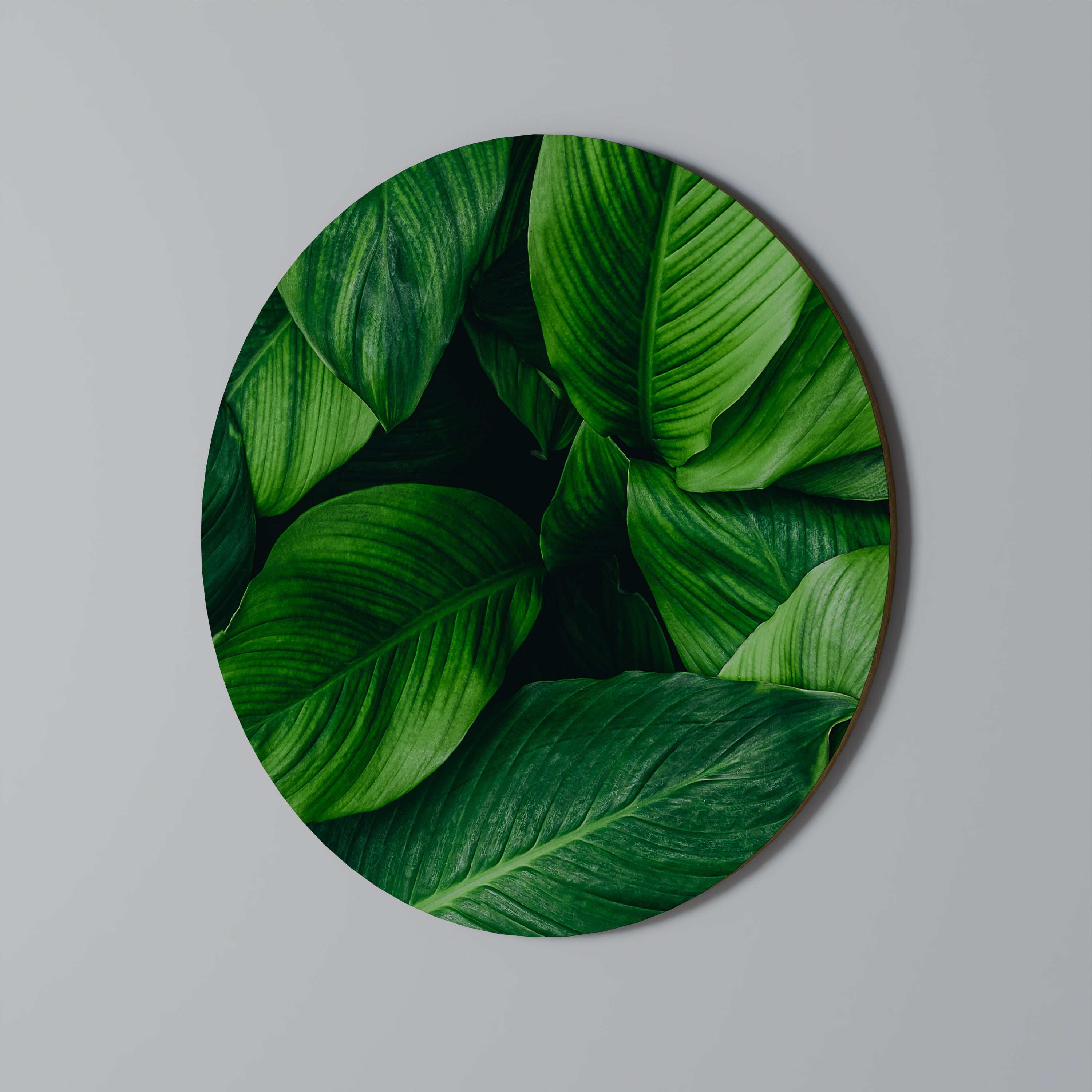 VIBRANT LEAFY EMBRACE Obraz okrągły