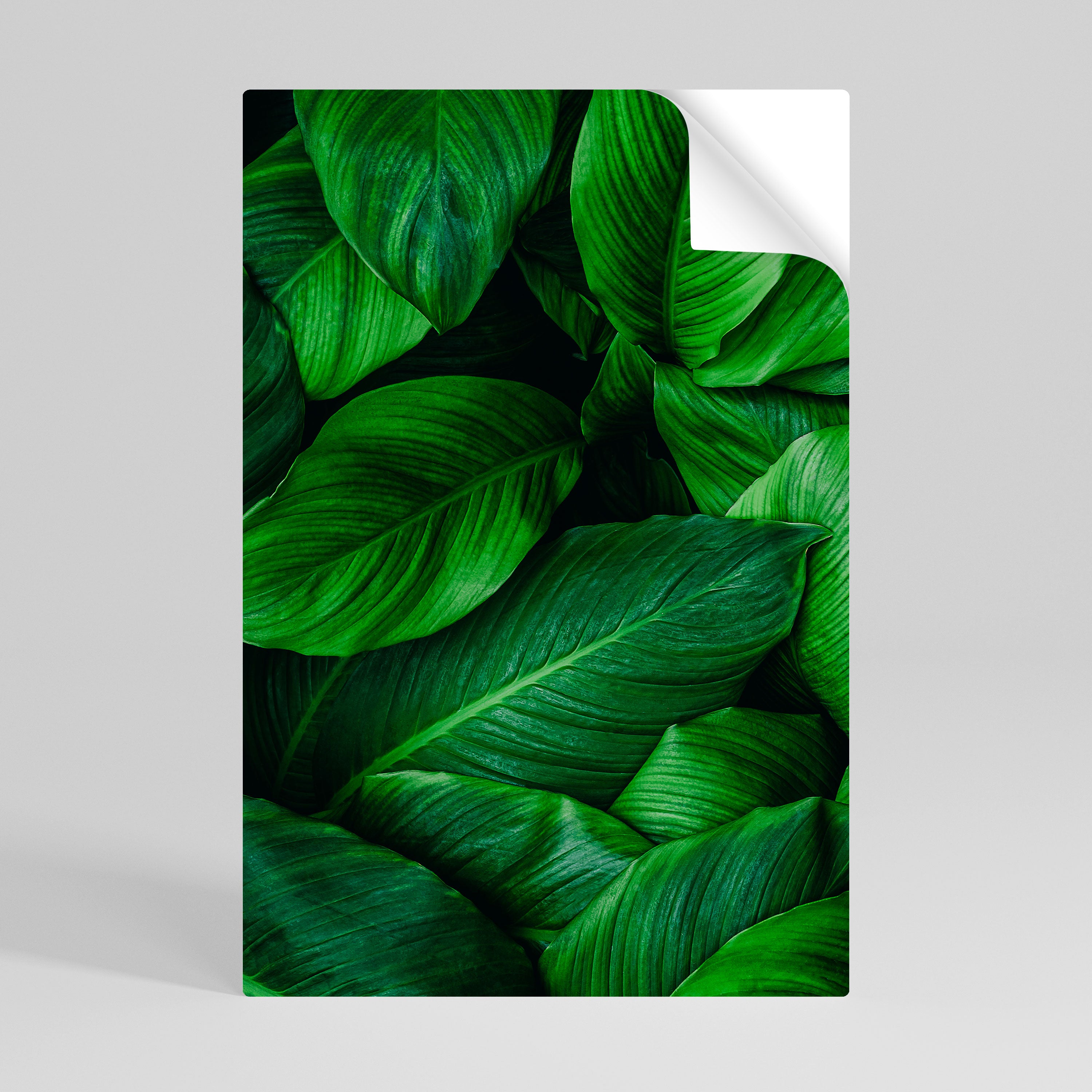 VIBRANT LEAFY EMBRACE Naklejka/Plakat pionowy