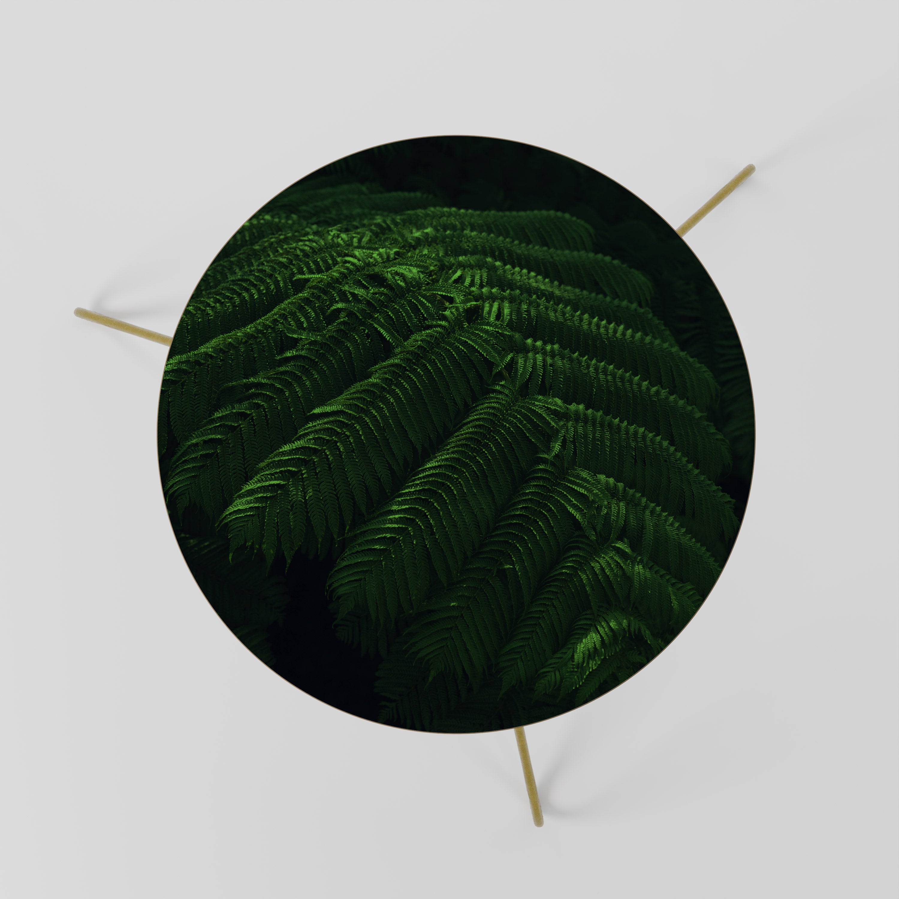 FERN FANTASY Stolik kawowy mały