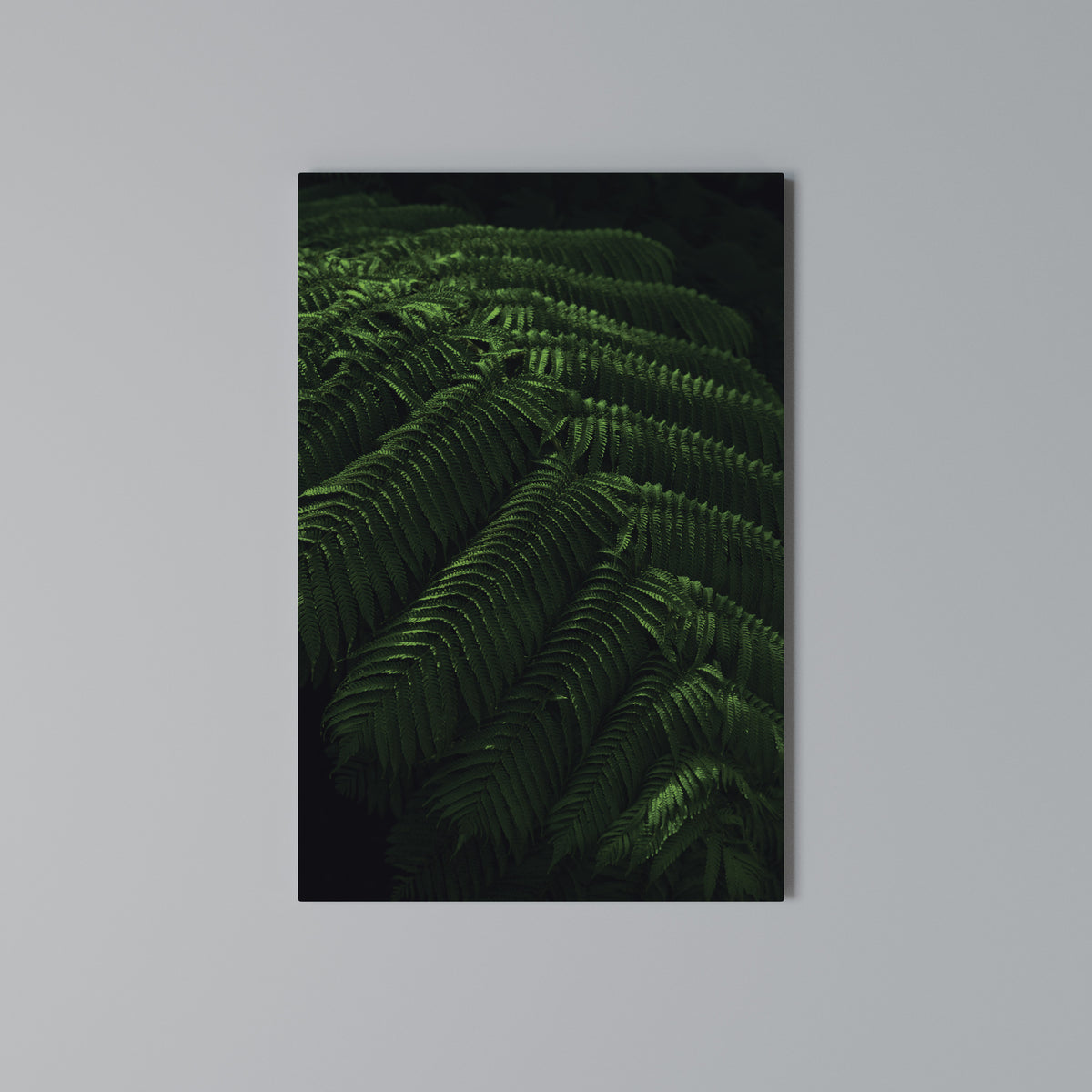 FERN FANTASY Pionowy obraz na płótnie
