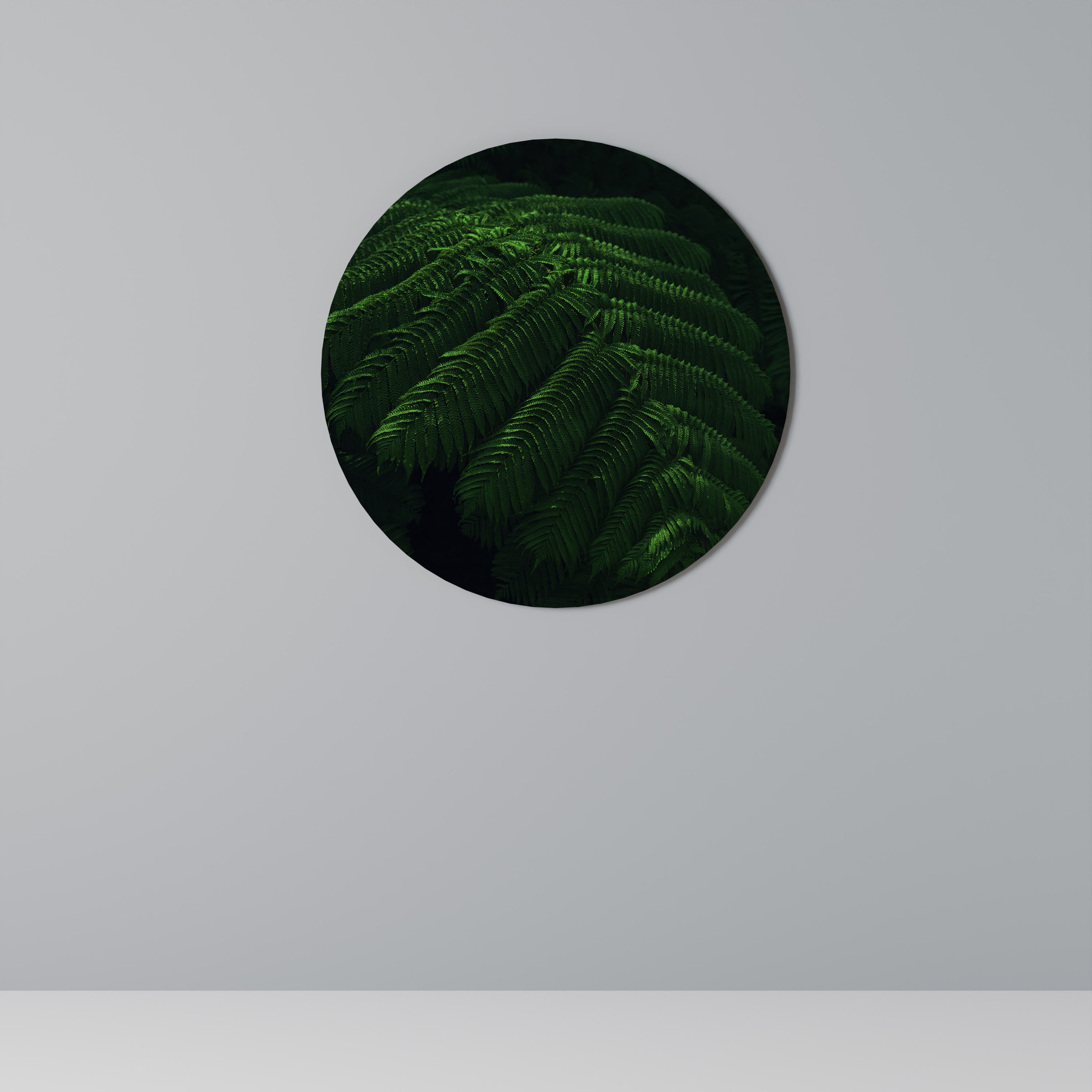 FERN FANTASY Obraz okrągły