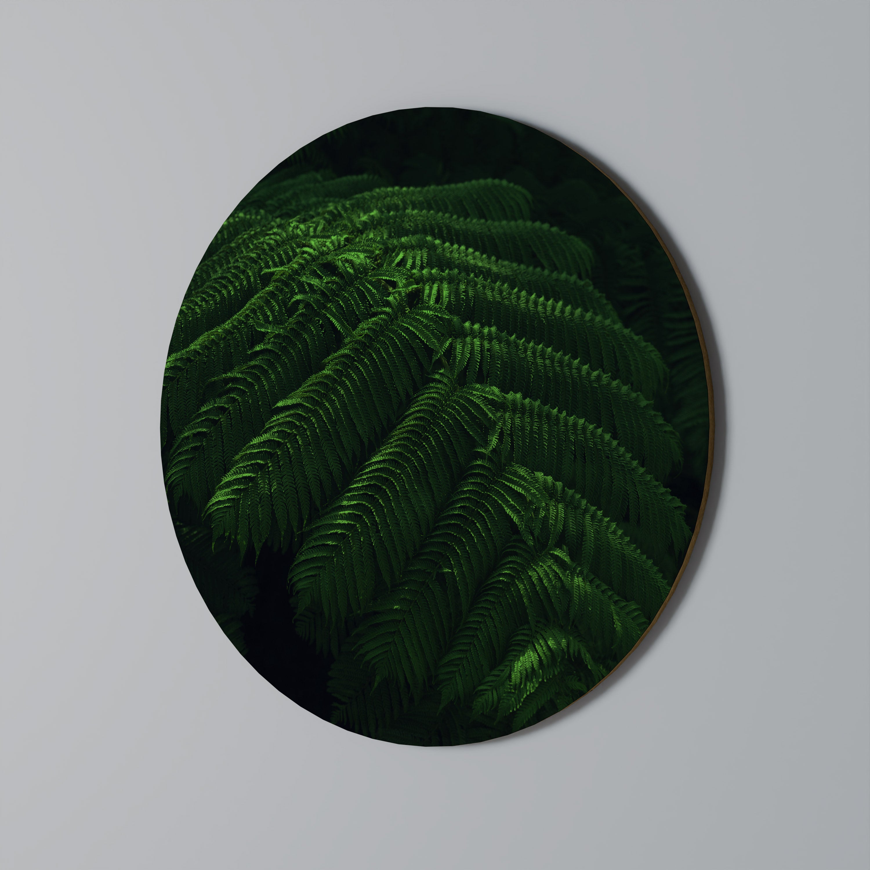 FERN FANTASY Obraz okrągły