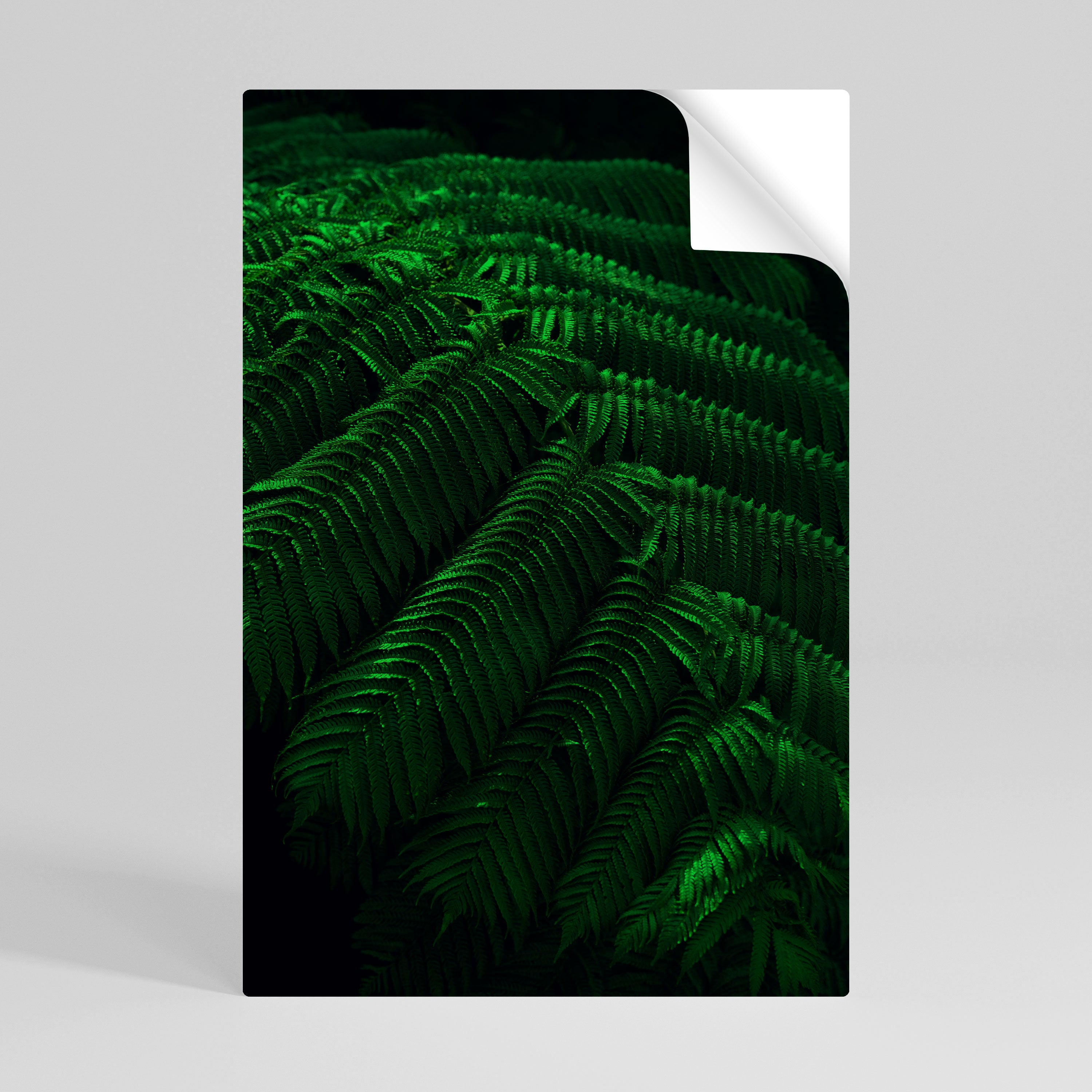 FERN FANTASY Naklejka/Plakat pionowy