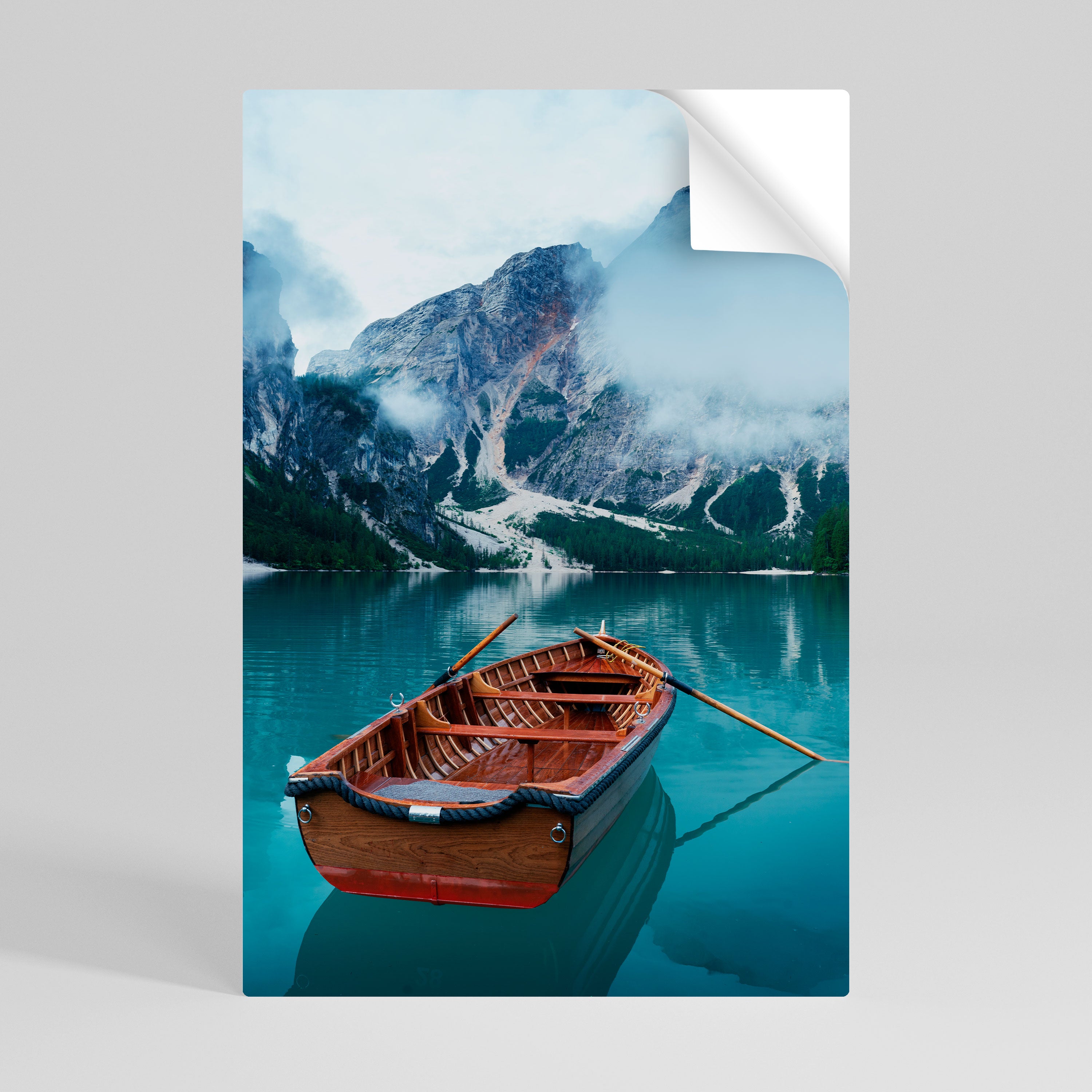 FOGGY MOUNTAIN OASIS Naklejka/Plakat pionowy