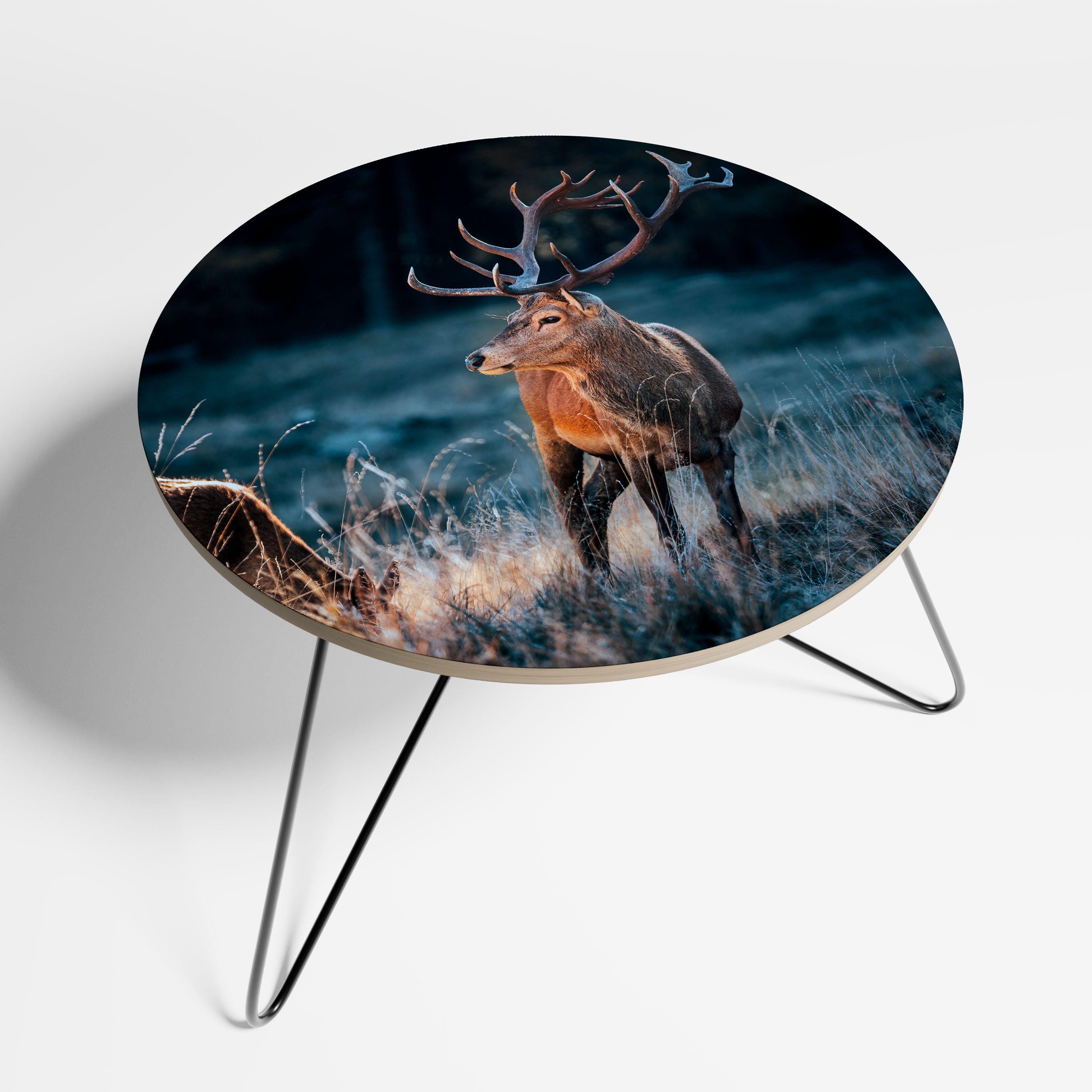 ANTLERED REGALITY Stolik kawowy duży