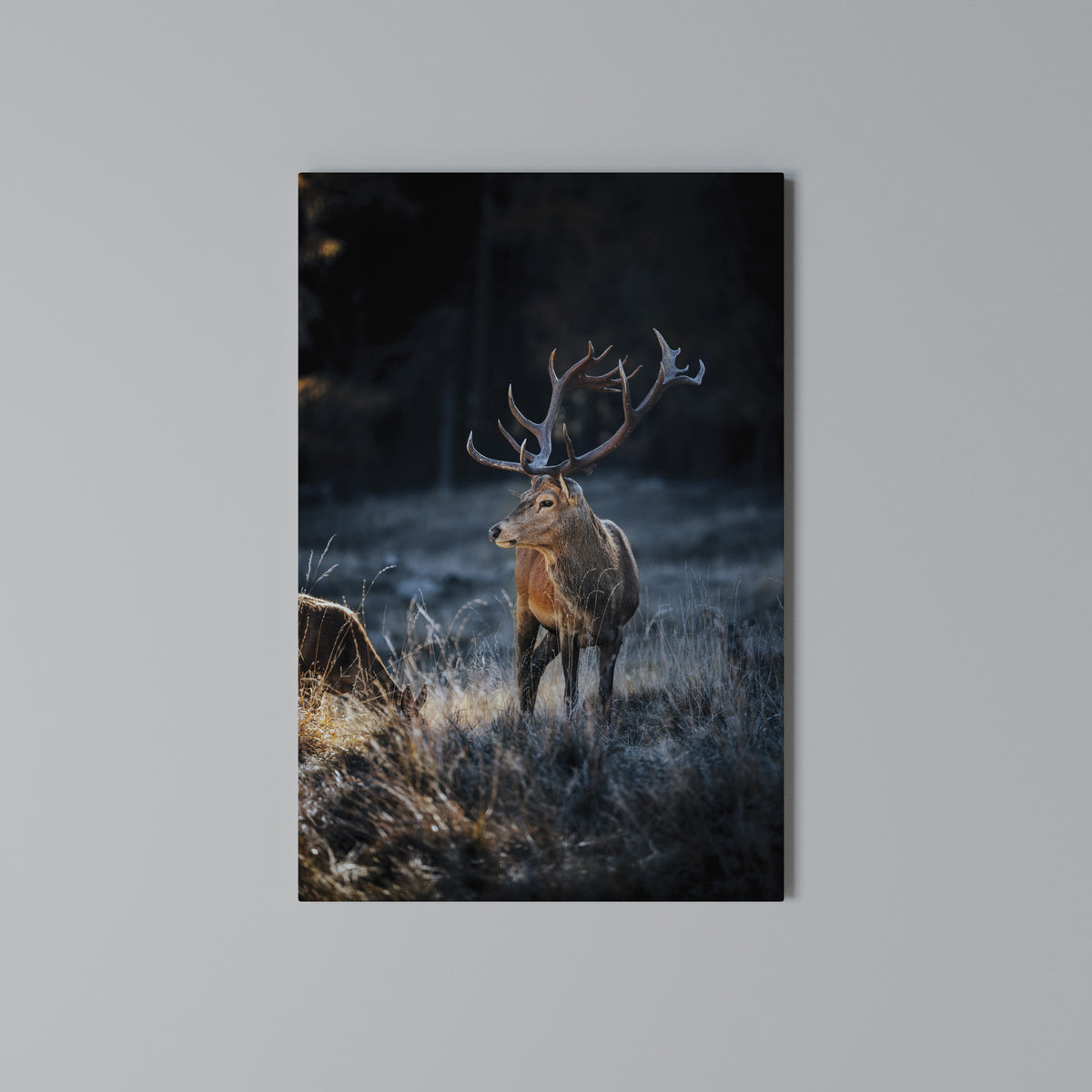 ANTLERED REGALITY Pionowy obraz na płótnie