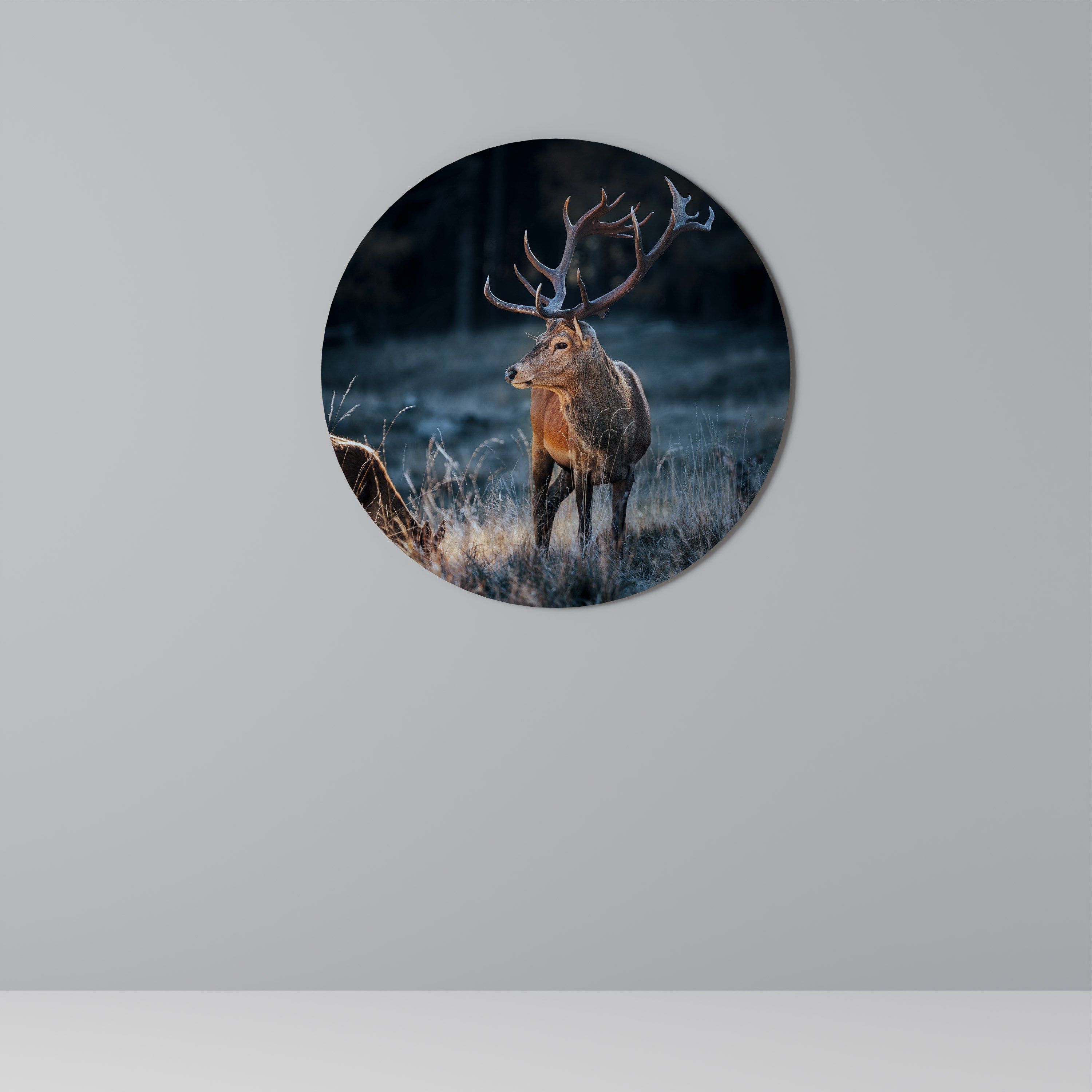 ANTLERED REGALITY Obraz okrągły