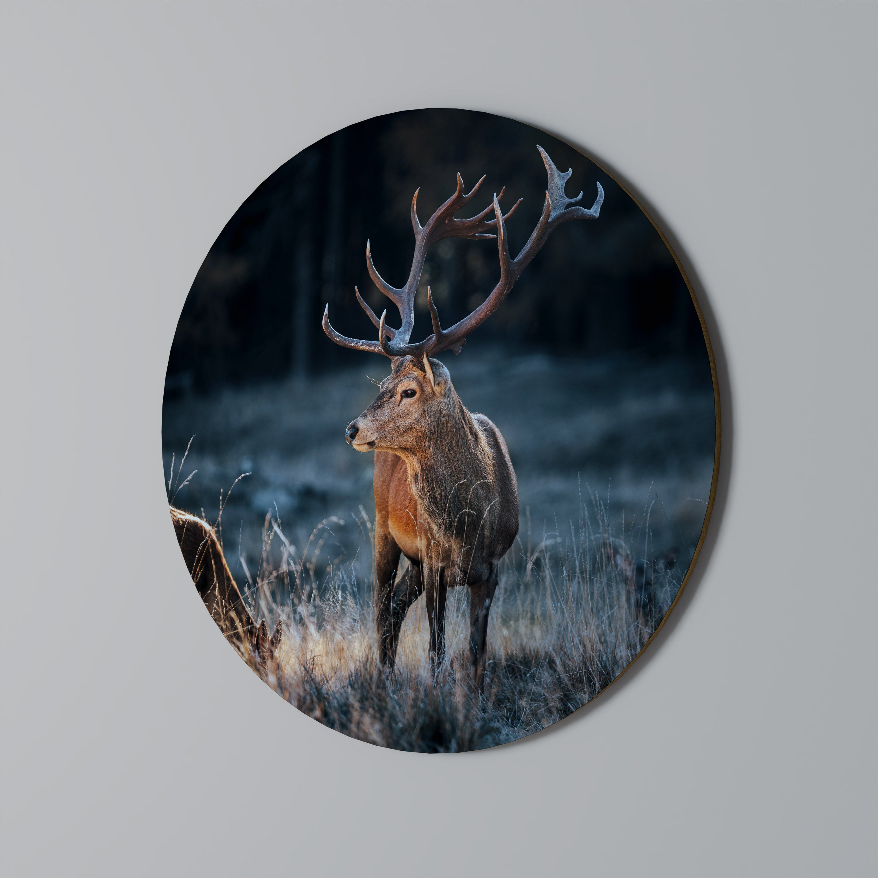 ANTLERED REGALITY Obraz okrągły