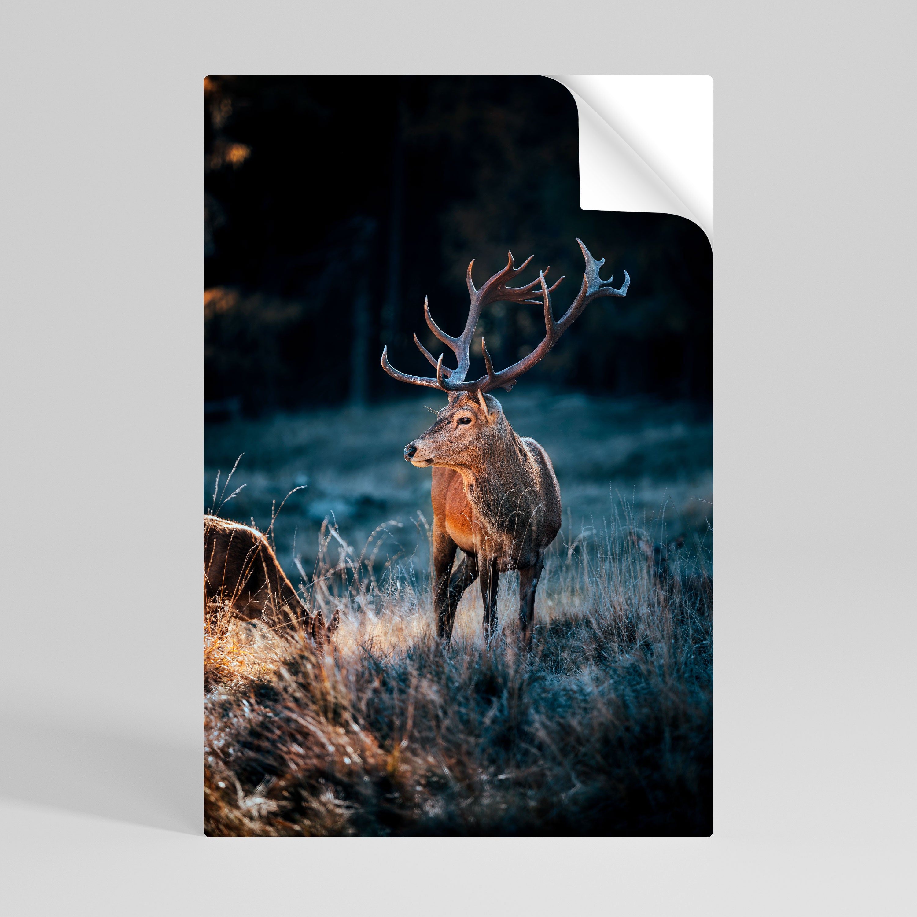 ANTLERED REGALITY Naklejka/Plakat pionowy