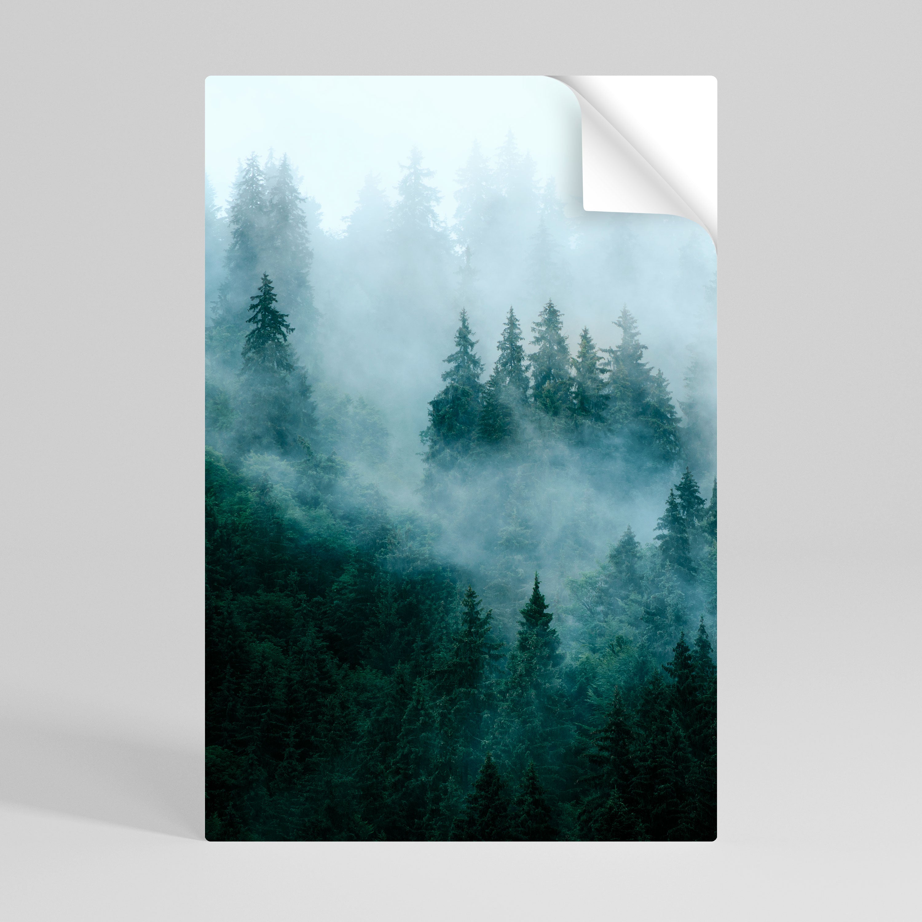 VEIL OF MIST Naklejka/Plakat pionowy