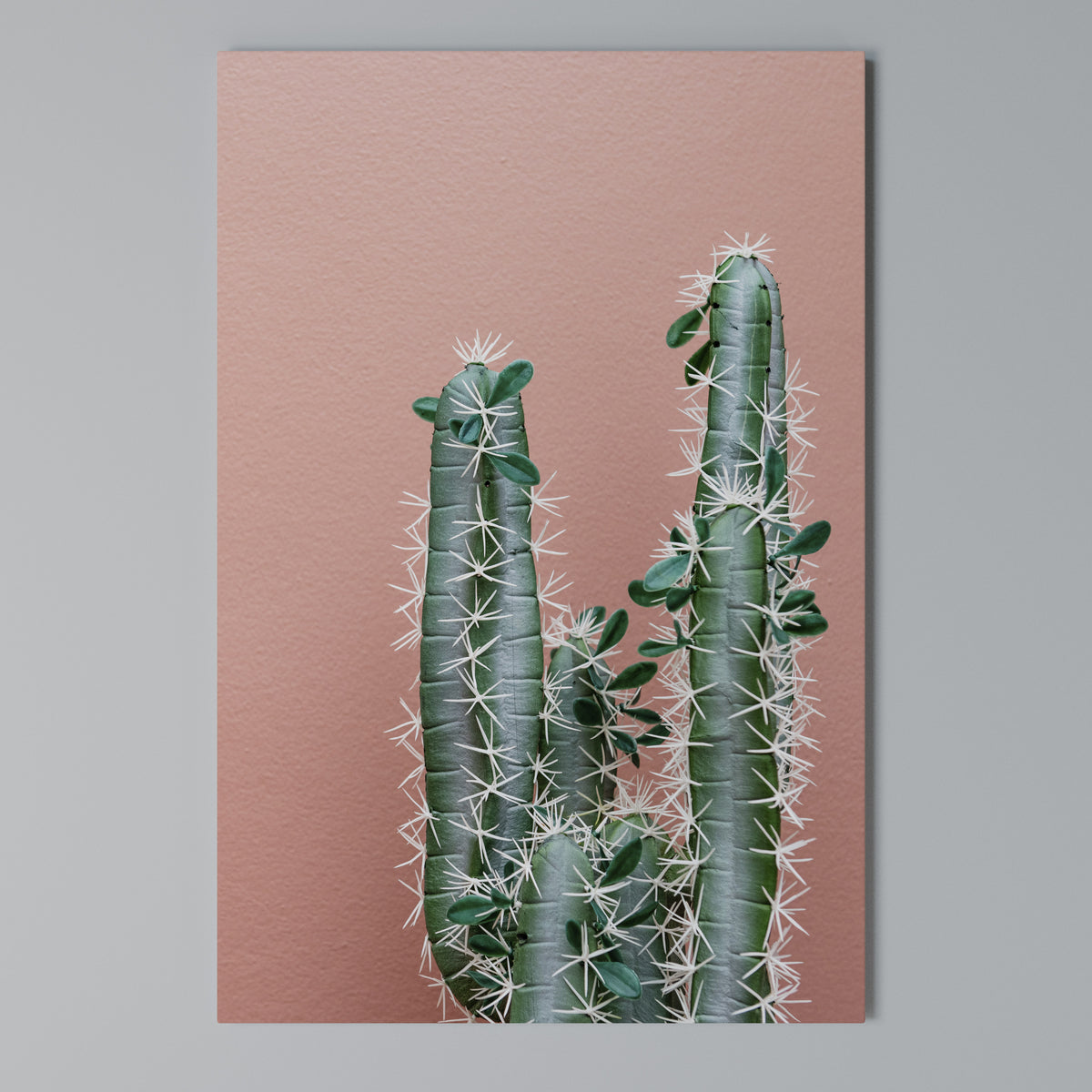 LORD CACTUS Pionowy obraz na płótnie