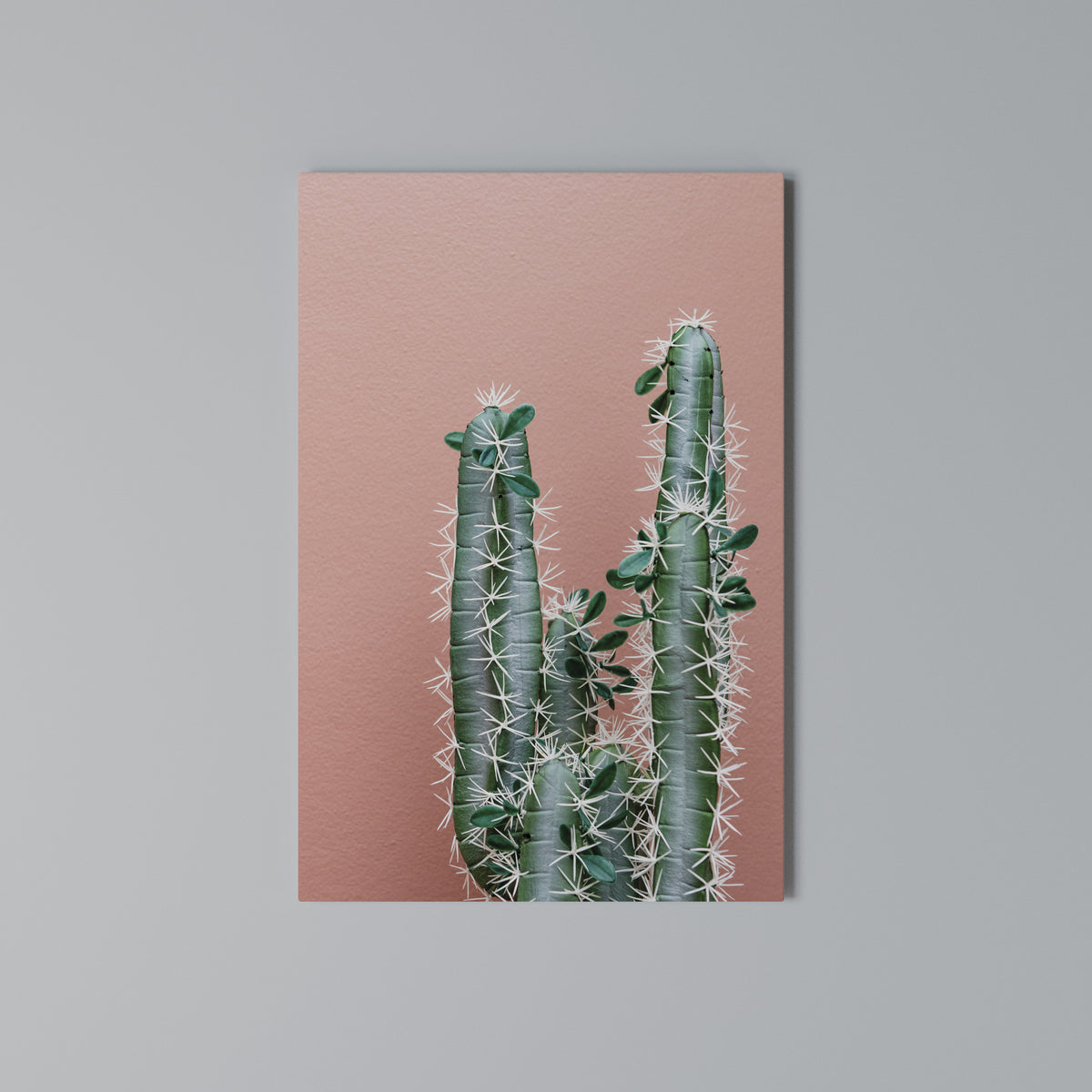 LORD CACTUS Pionowy obraz na płótnie