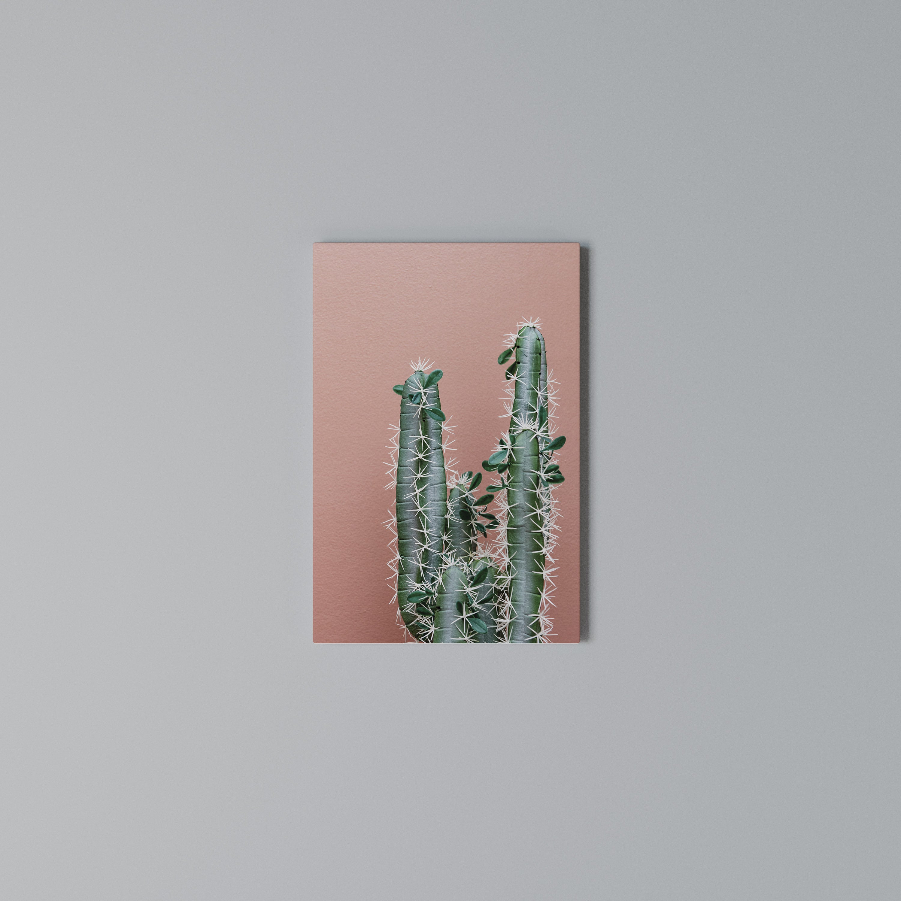 LORD CACTUS Pionowy obraz na płótnie