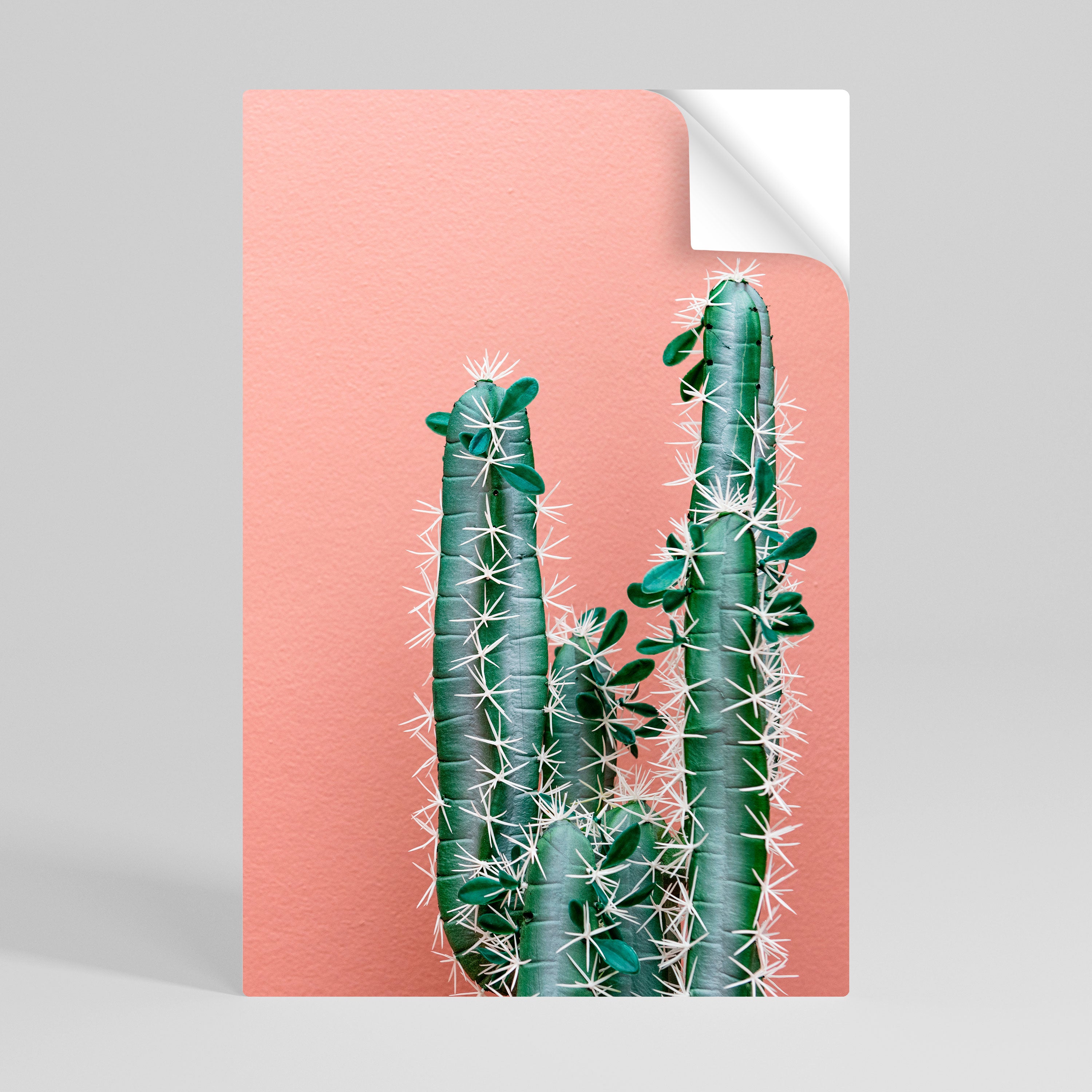 LORD CACTUS Naklejka/Plakat pionowy