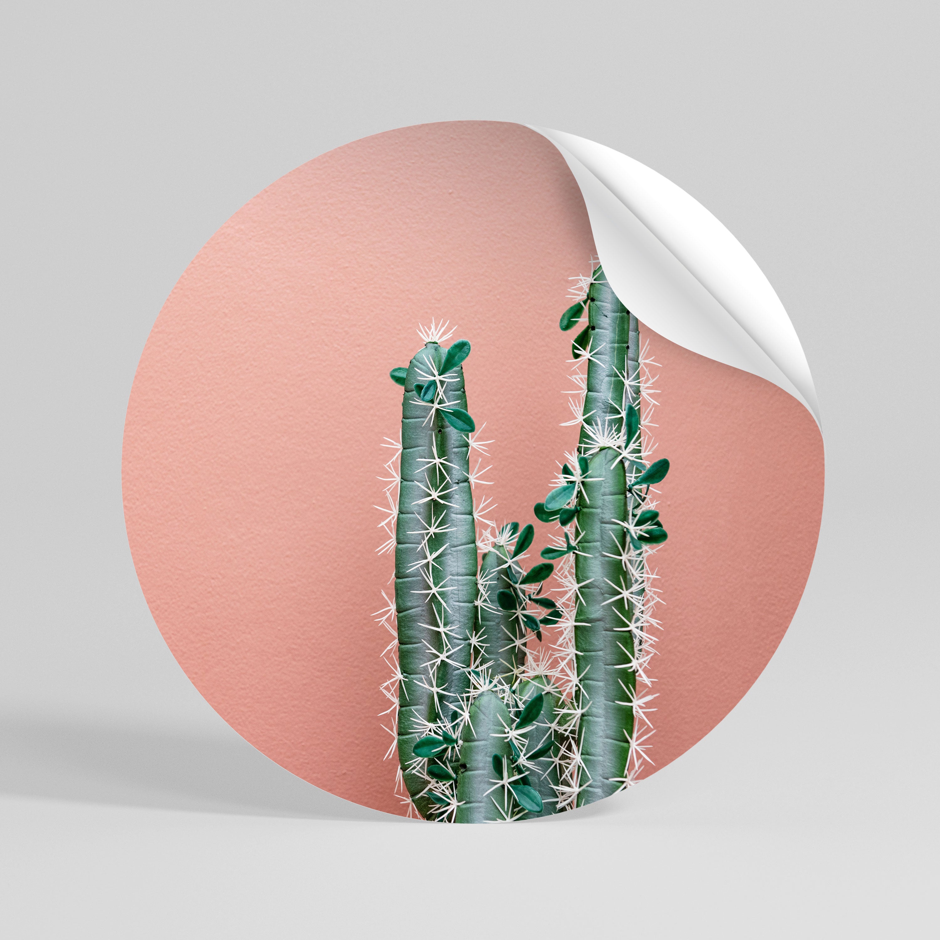 LORD CACTUS Naklejka - okrągła