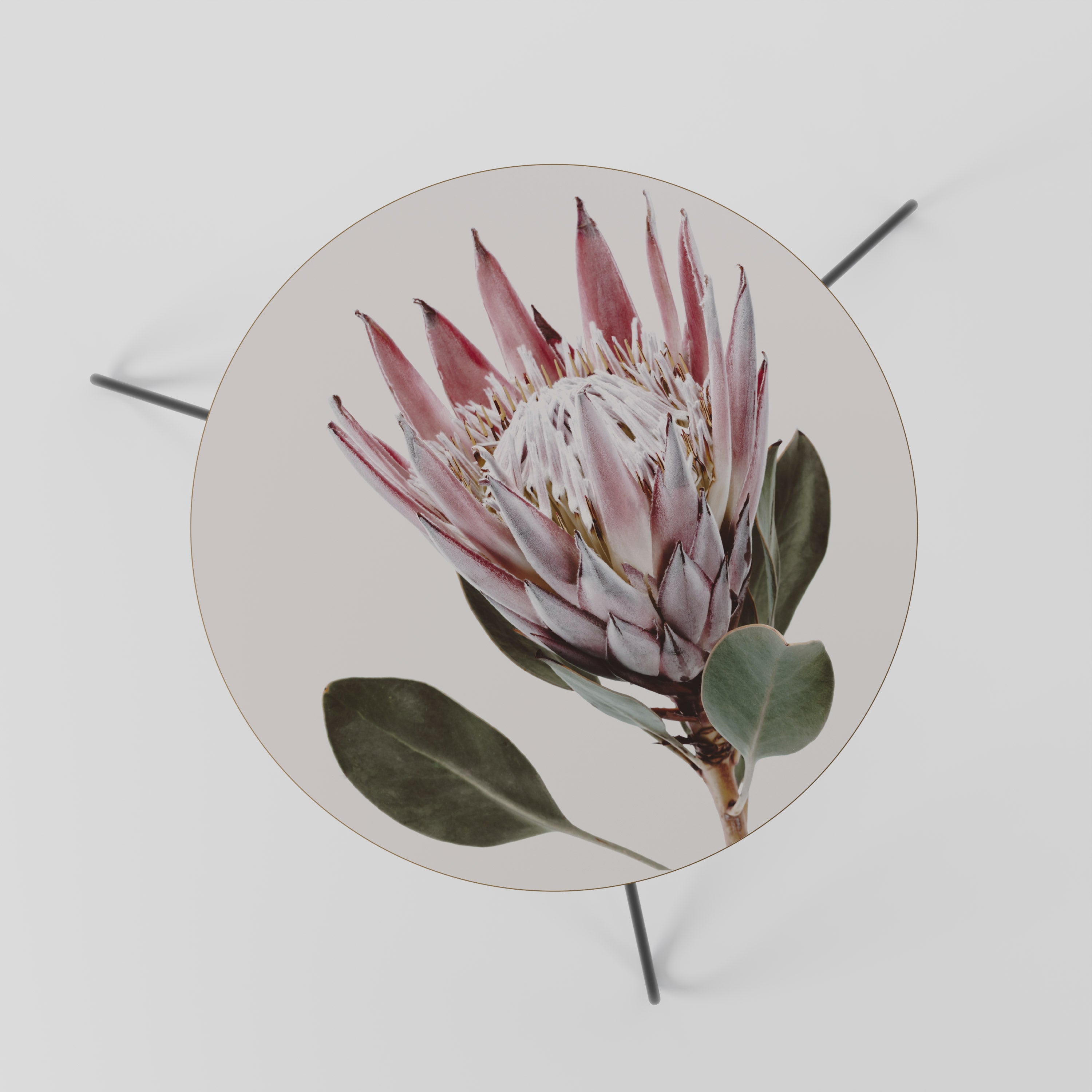 PROTEA FLOWER Stolik kawowy mały