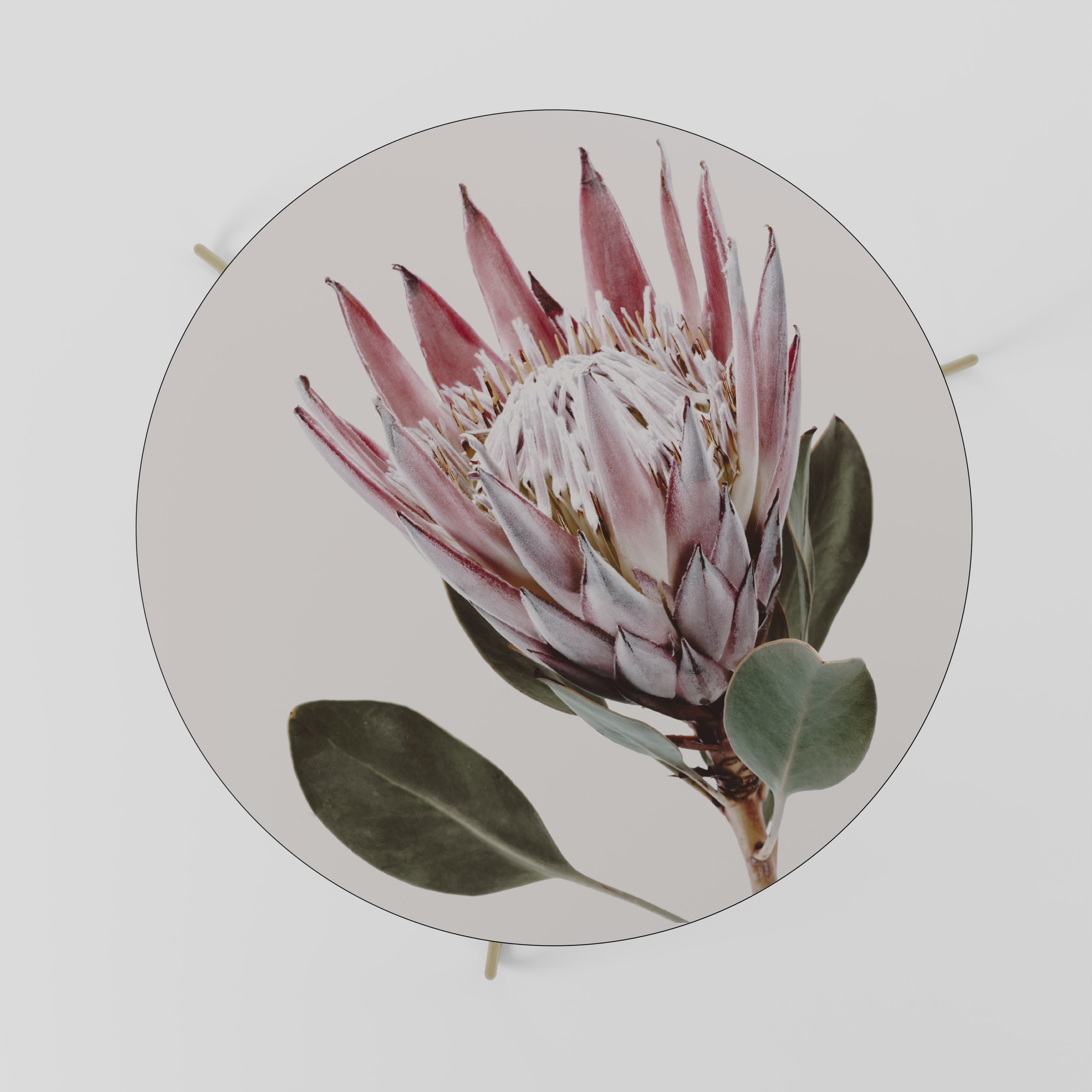 PROTEA FLOWER Stolik kawowy duży