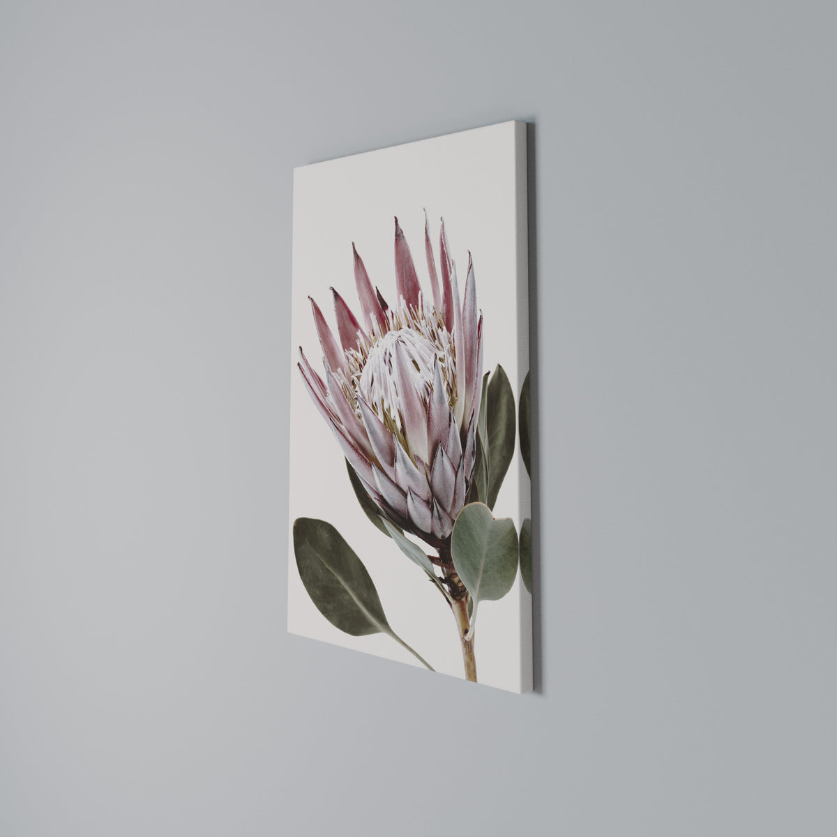 PROTEA FLOWER Pionowy obraz na płótnie