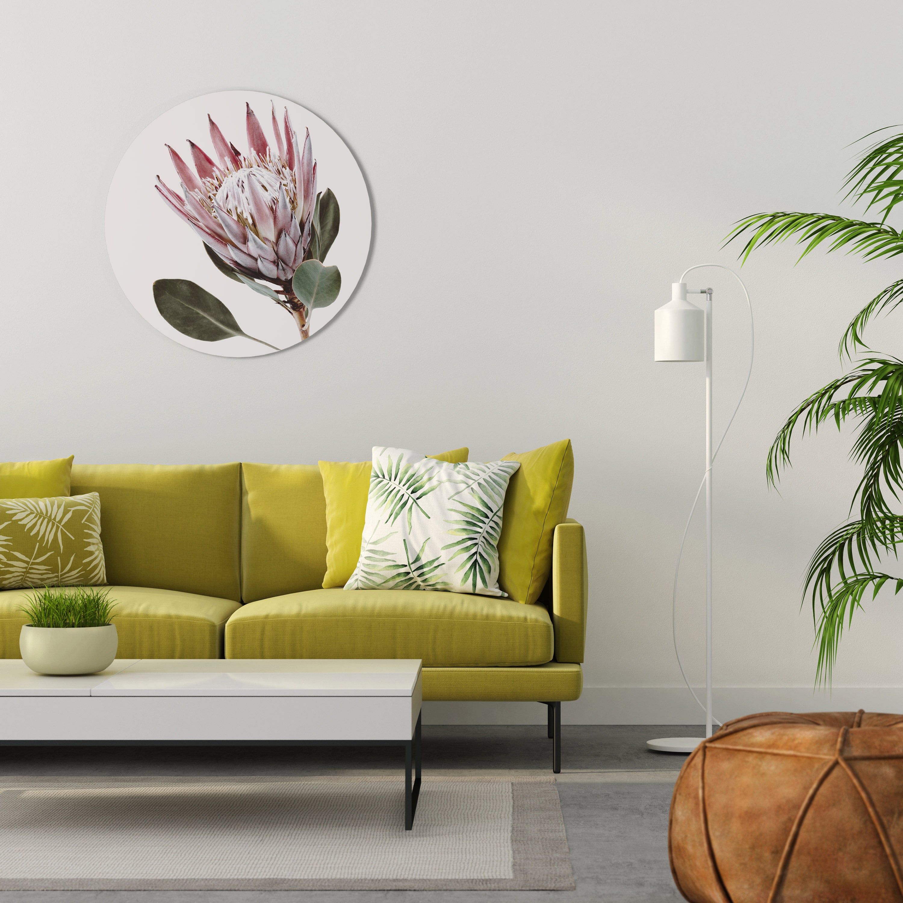 PROTEA FLOWER Obraz okrągły