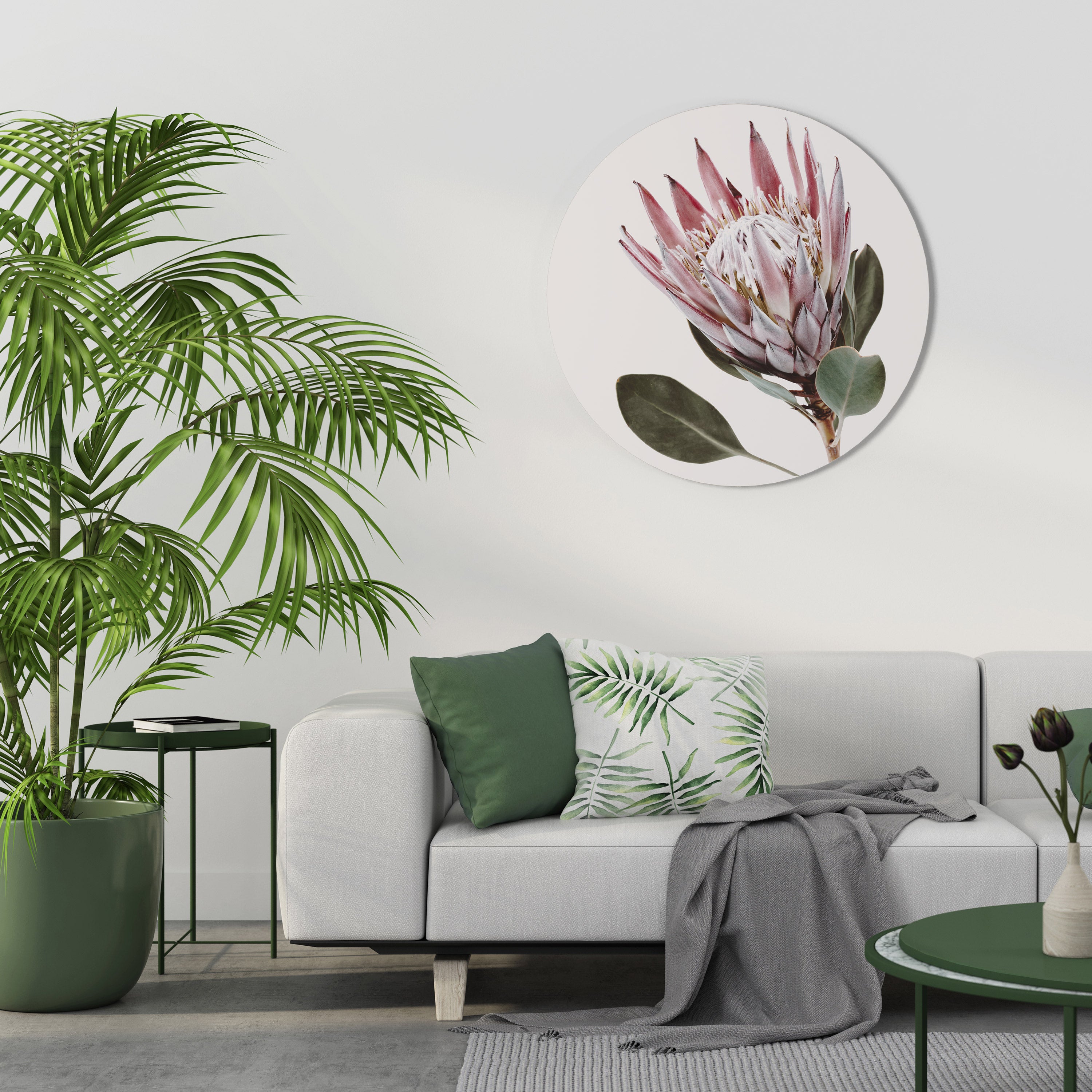 PROTEA FLOWER Obraz okrągły
