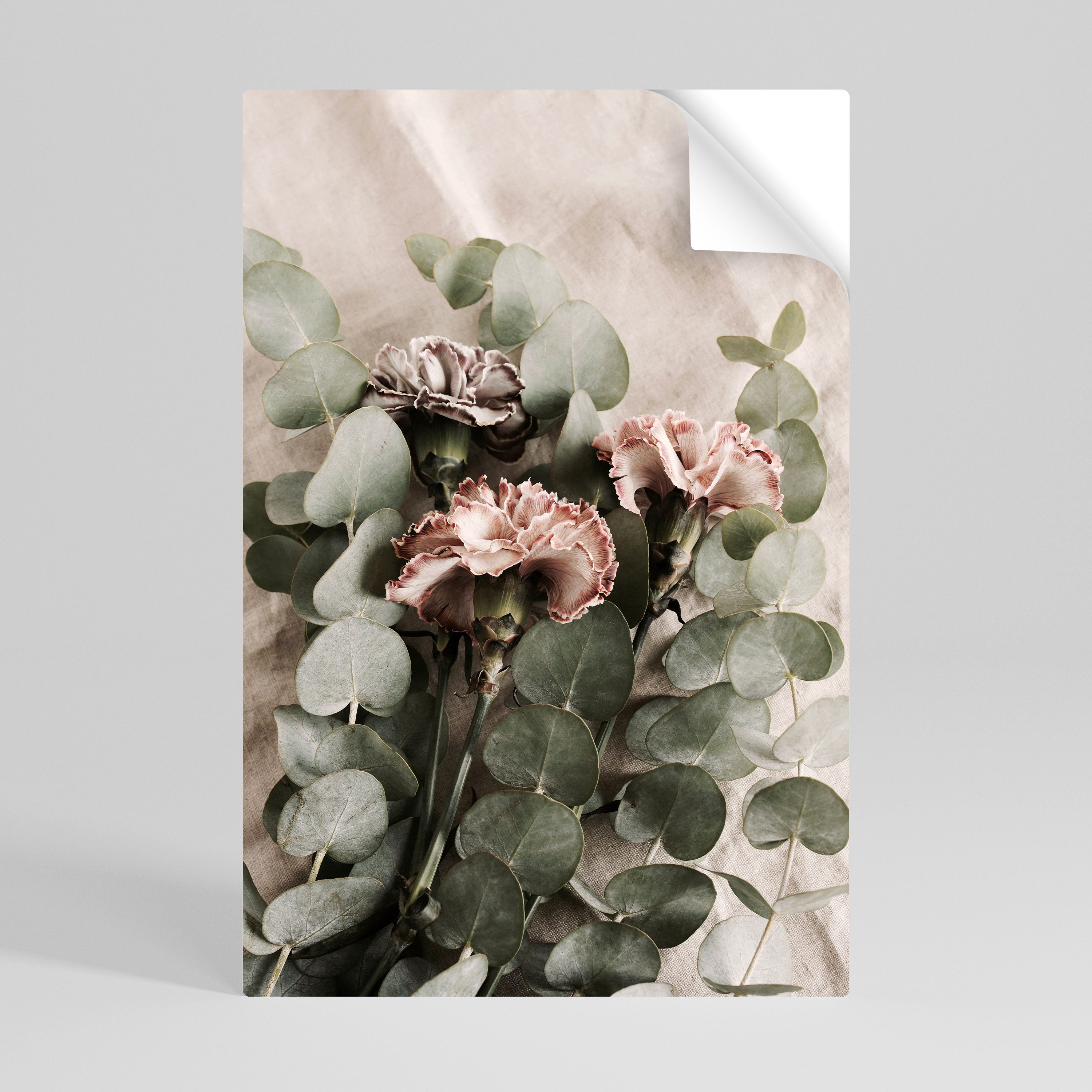 LINEN CLOVES Naklejka/Plakat pionowy