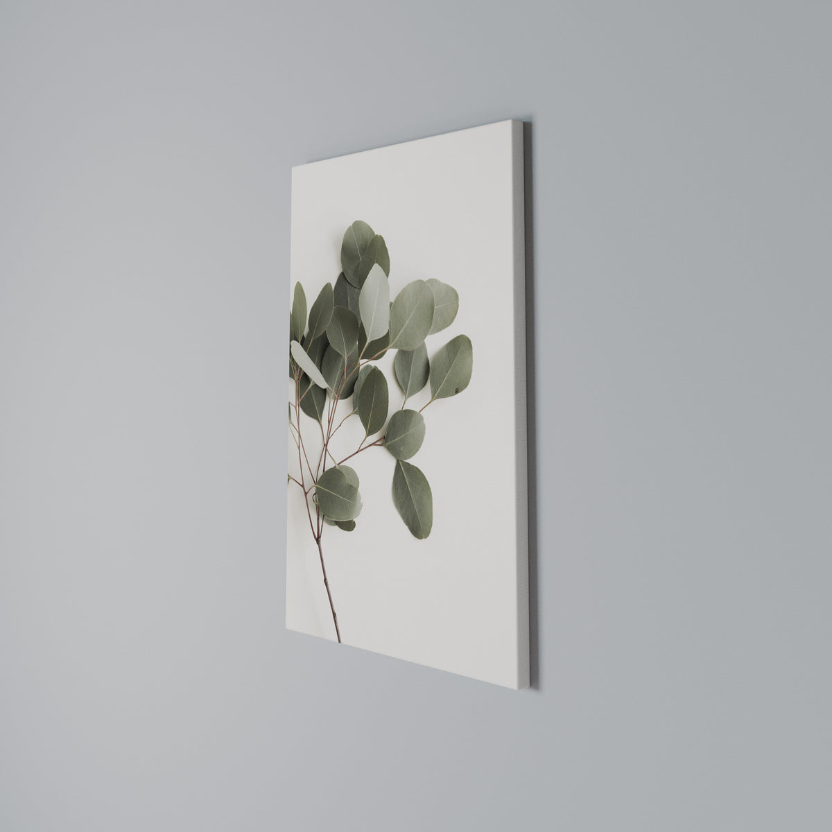 EUCALYPTUS BRANCH Pionowy obraz na płótnie