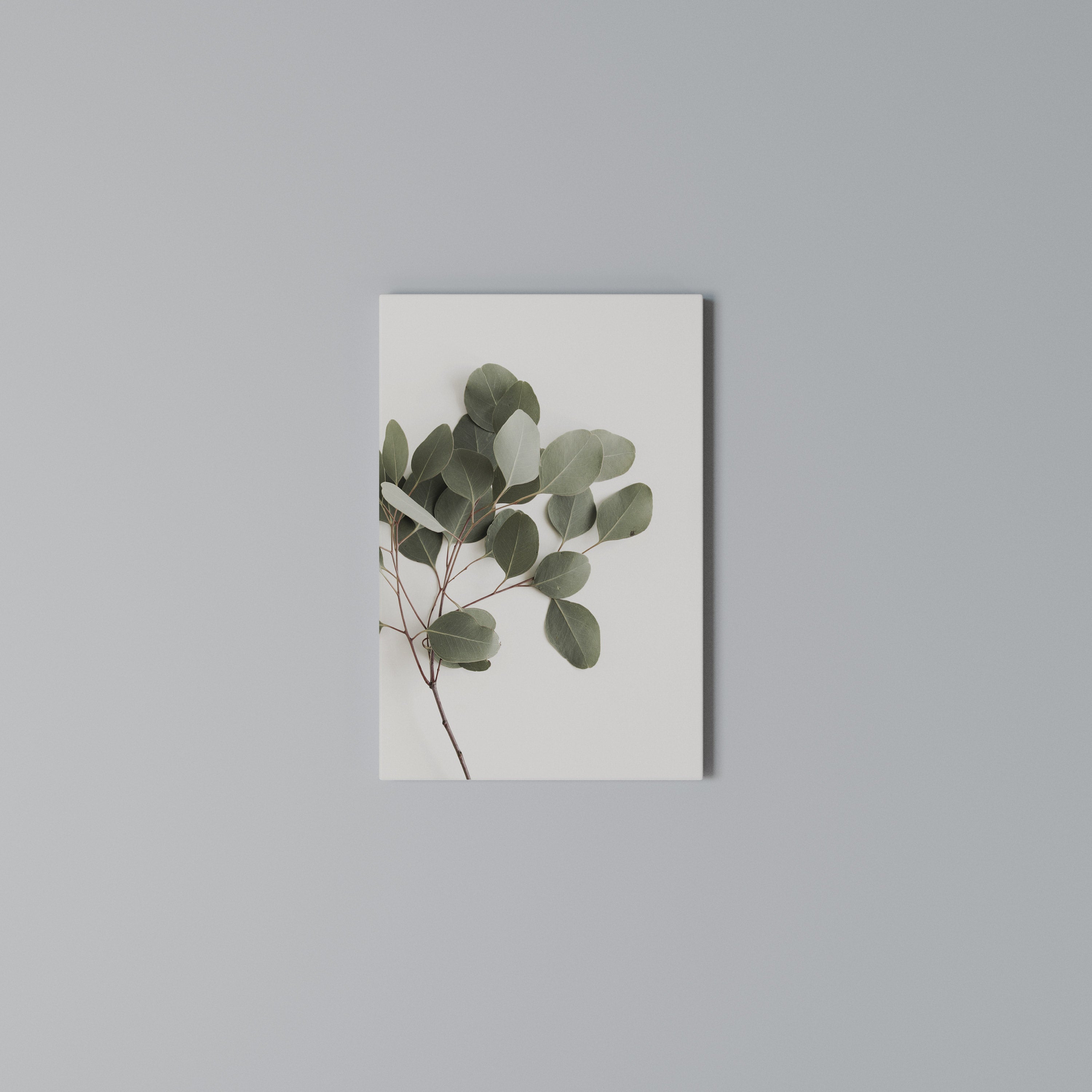 EUCALYPTUS BRANCH Pionowy obraz na płótnie