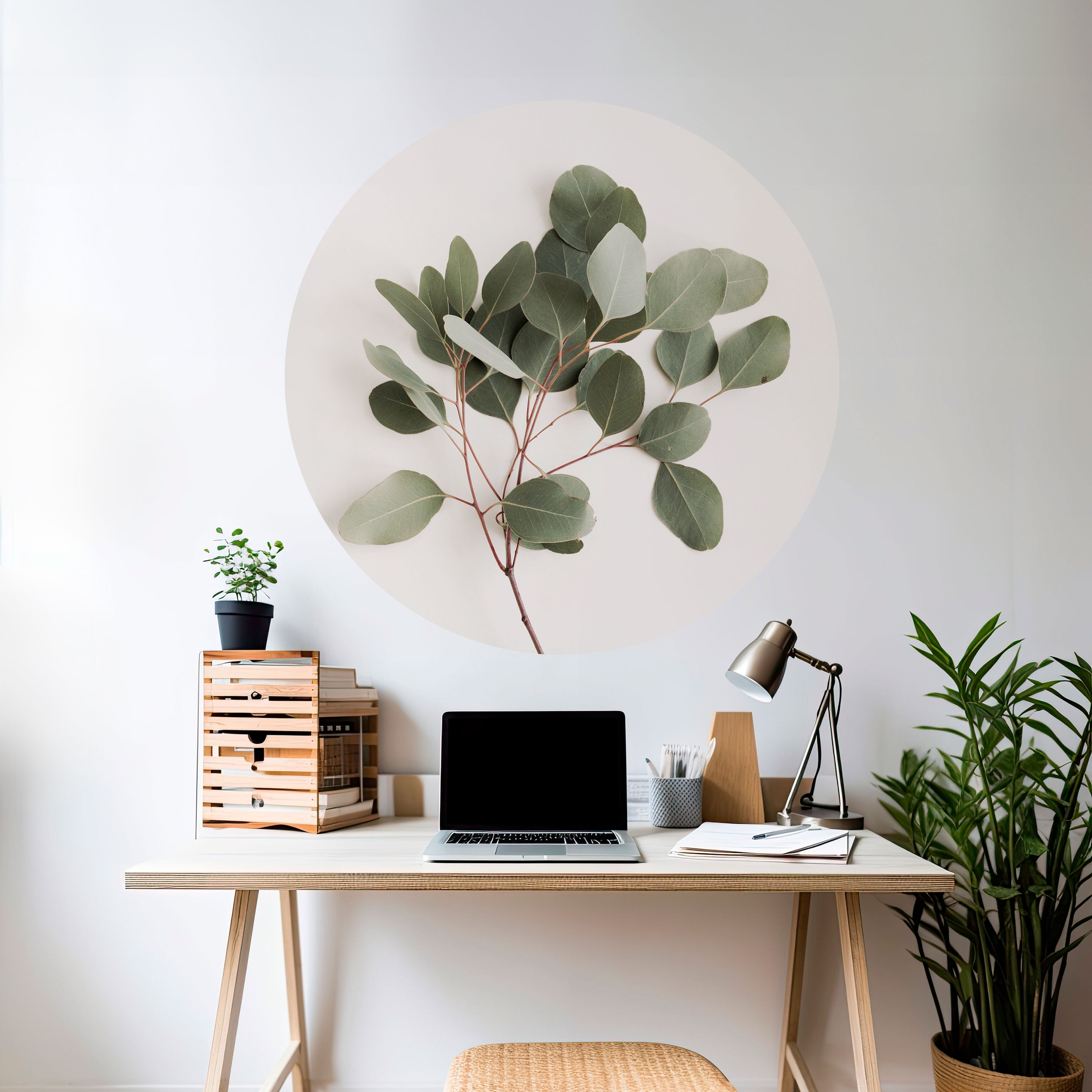 EUCALYPTUS BRANCH Naklejka okrągła