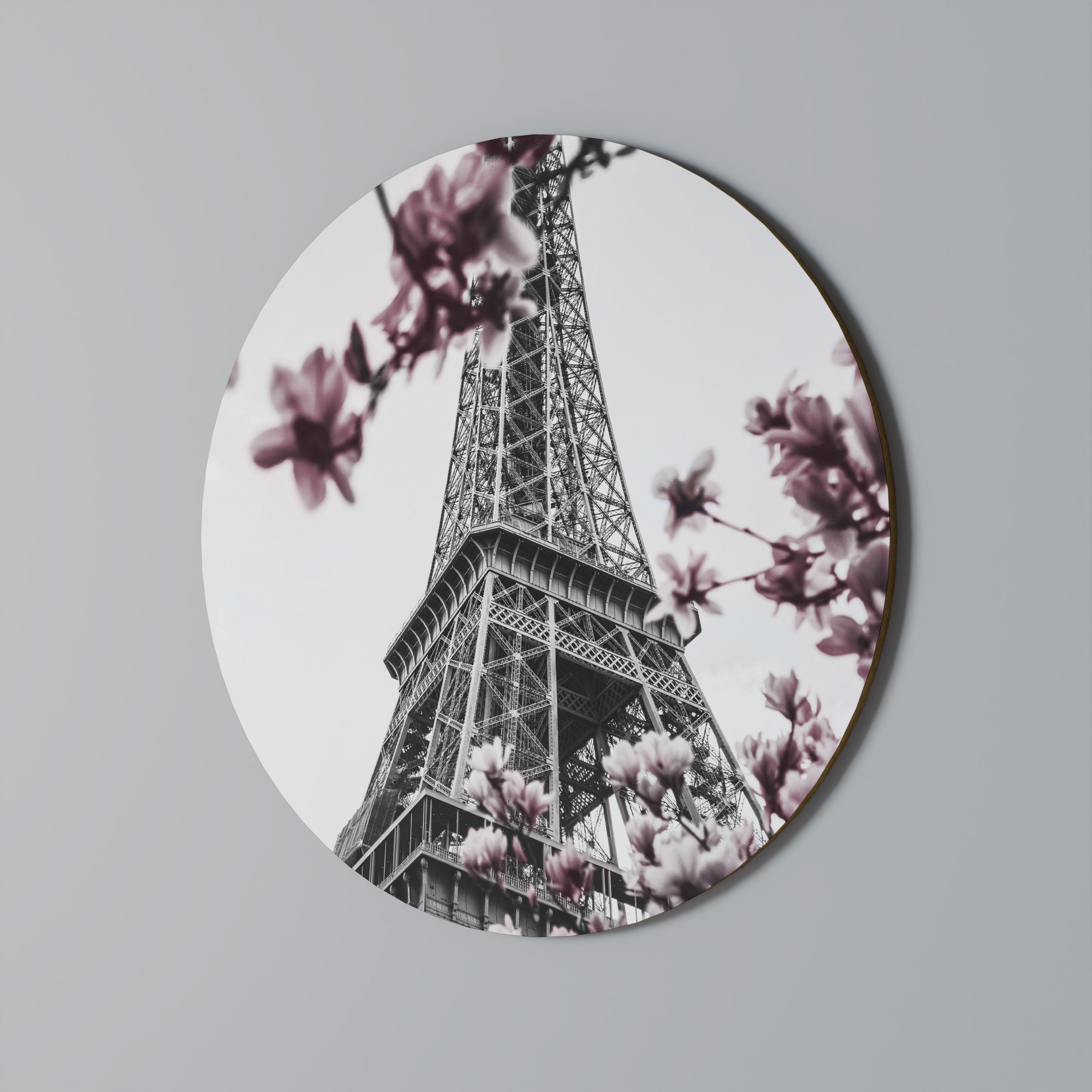 EIFFEL IN BLOOM Obraz okrągły
