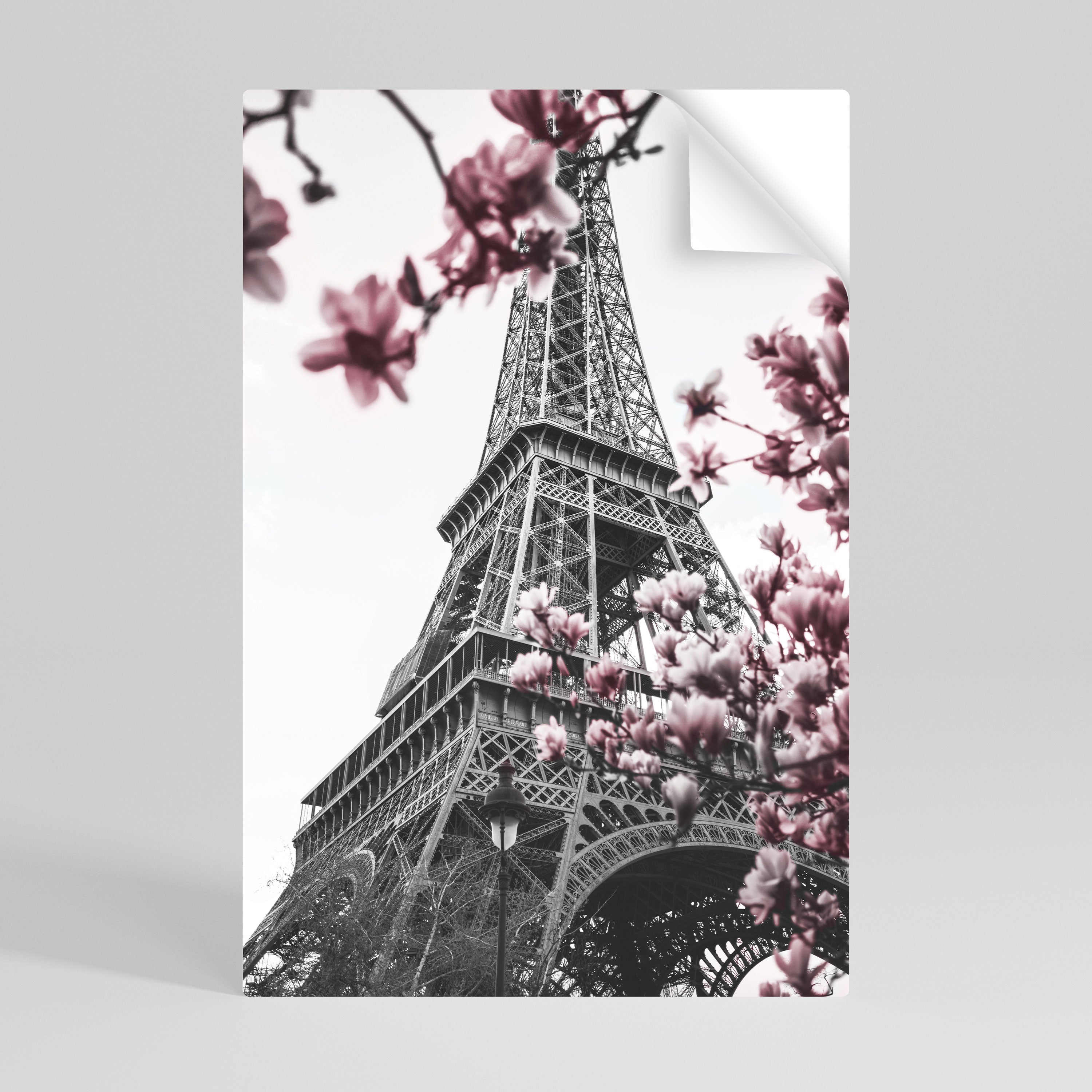 EIFFEL IN BLOOM Naklejka/Plakat pionowy
