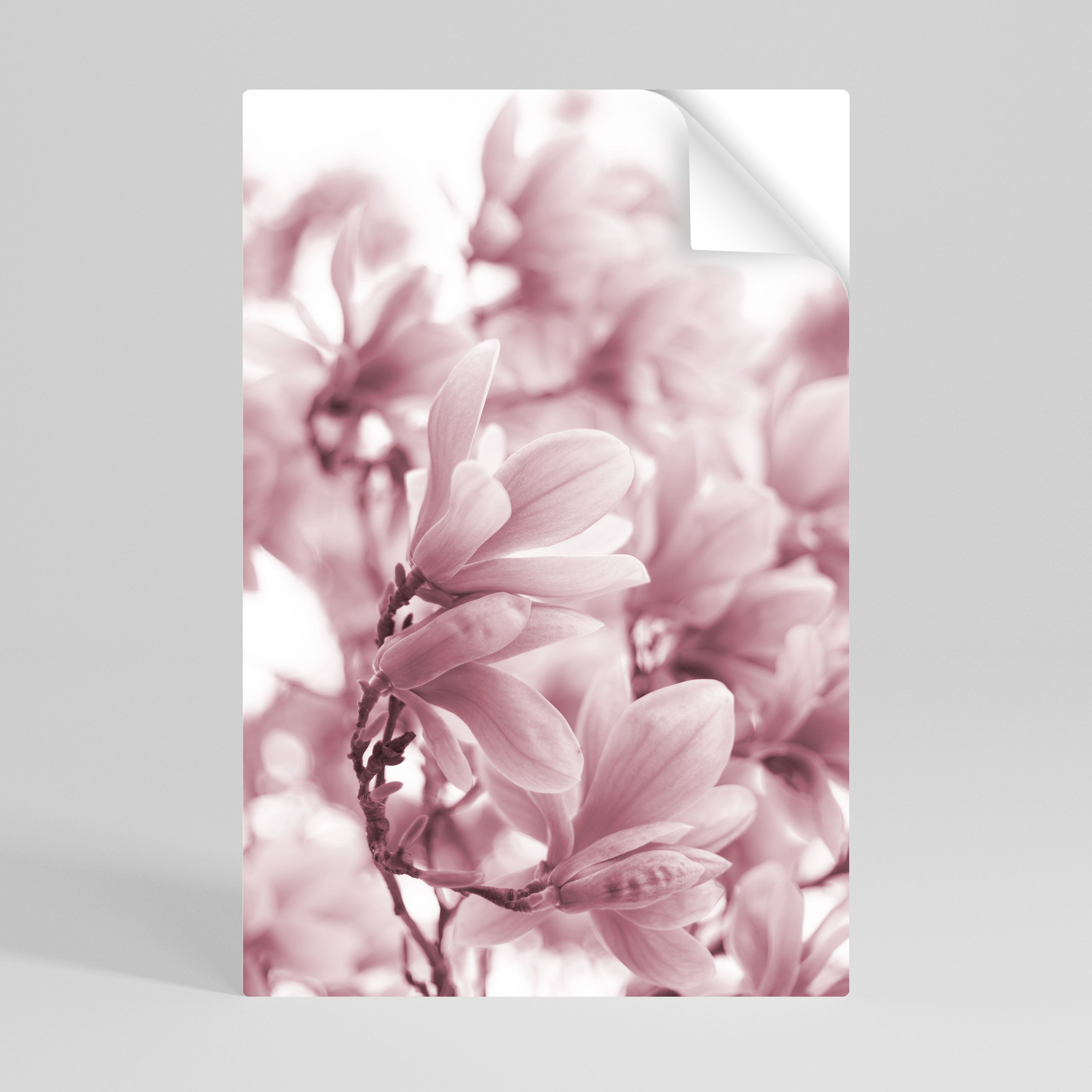 PINK BLOSSOM DREAM Naklejka/Plakat pionowy