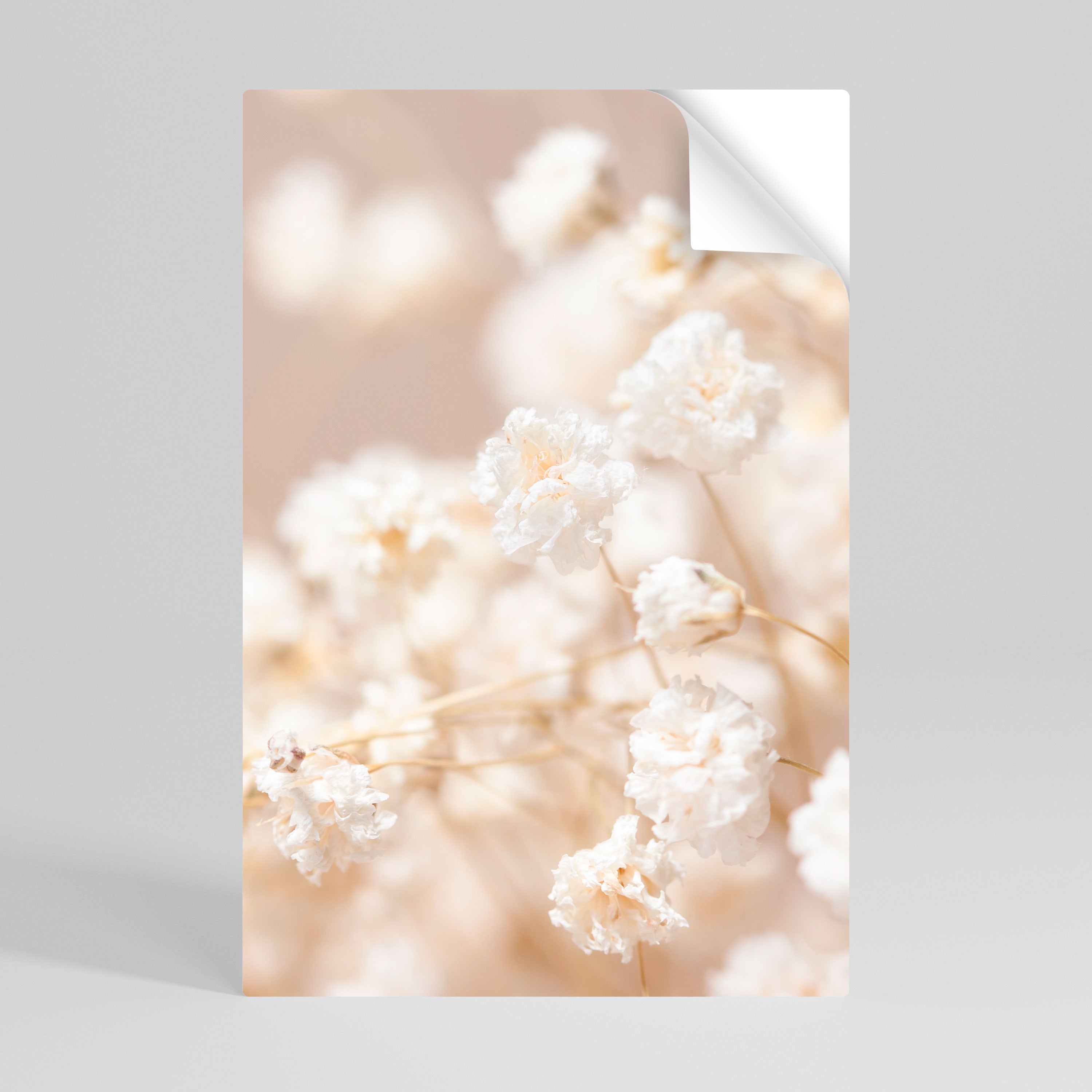 GHOSTLY BLOOM Naklejka/Plakat pionowy