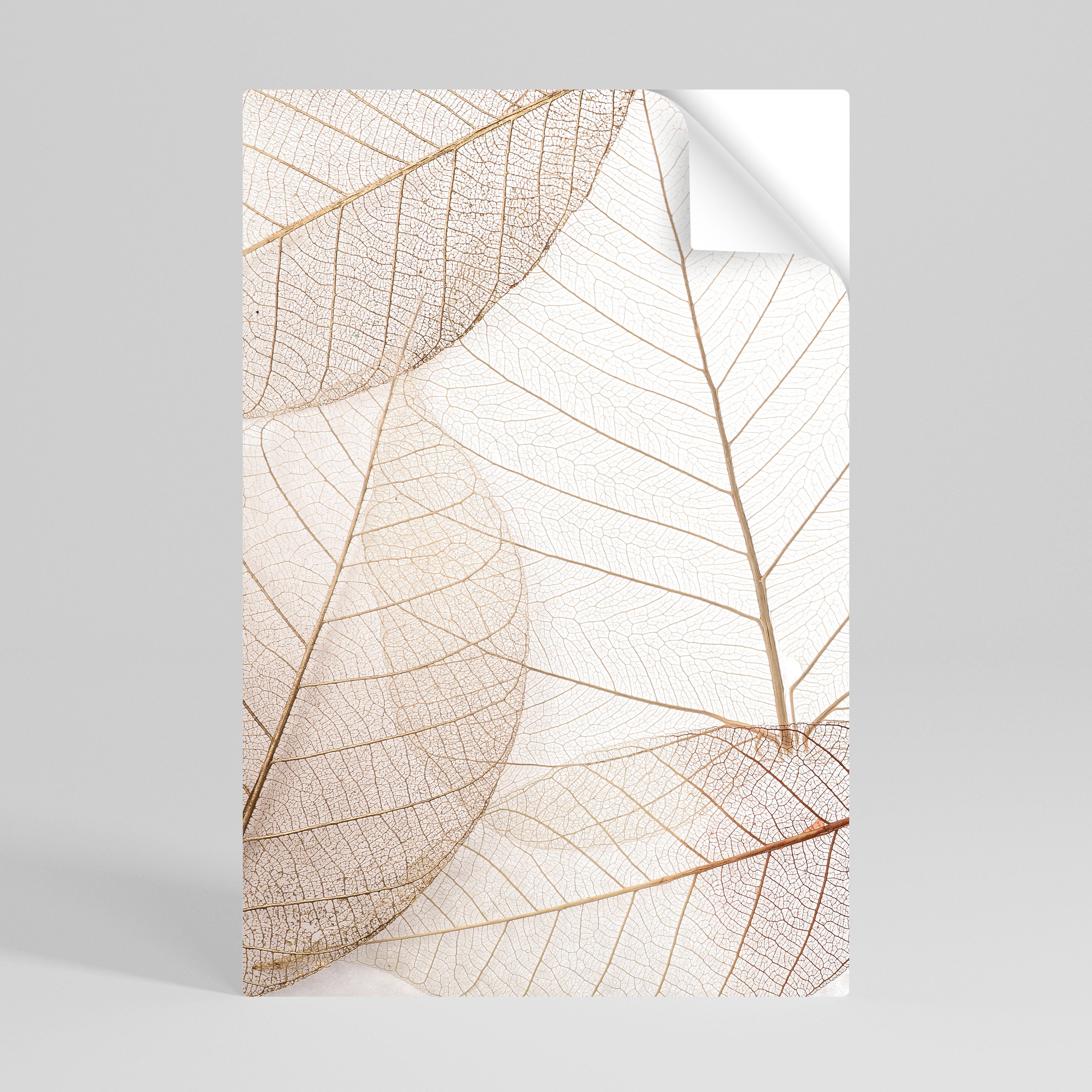 ETHEREAL VEINED GRACE Naklejka/Plakat pionowy