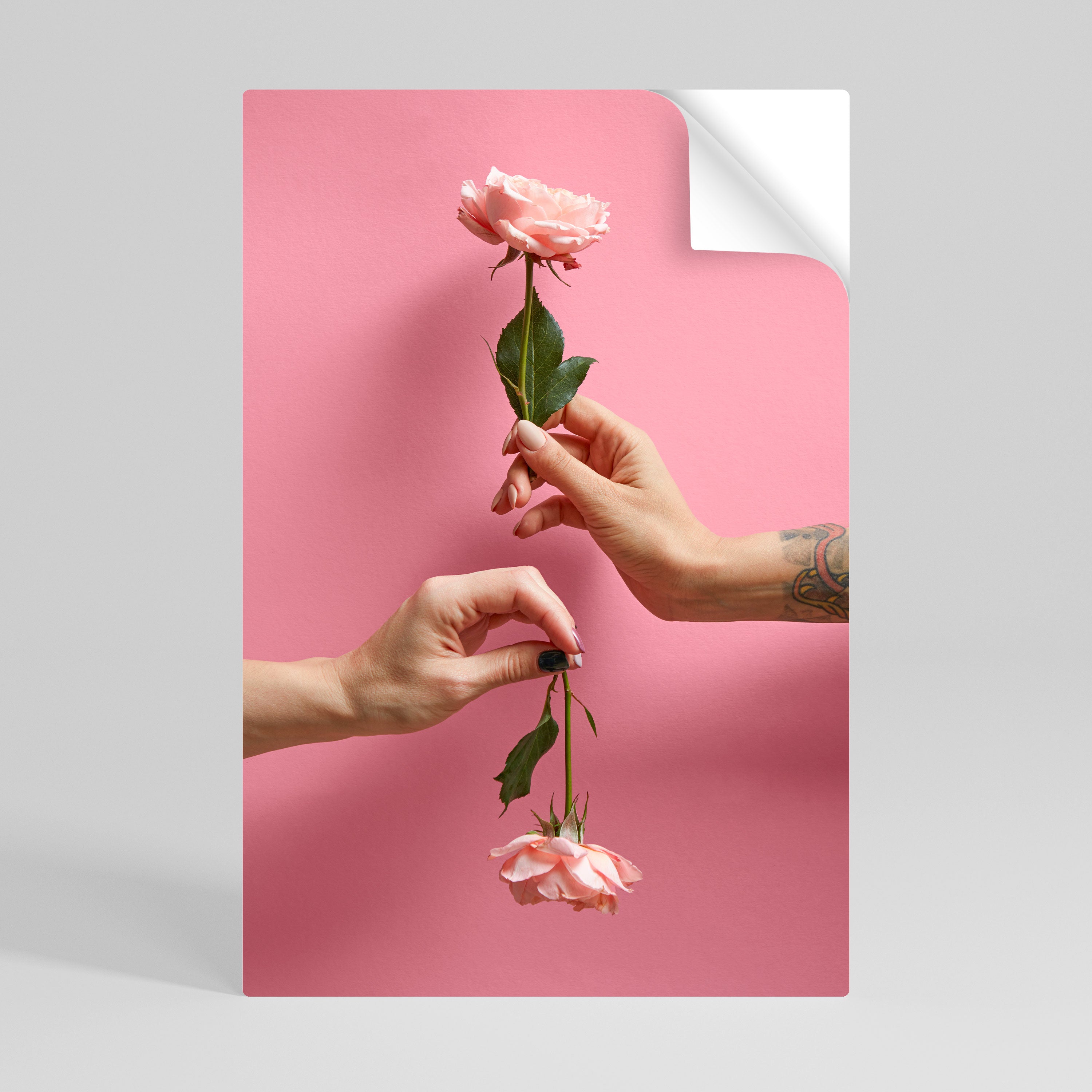 FLORAL CONNECTIONS Naklejka/Plakat pionowy