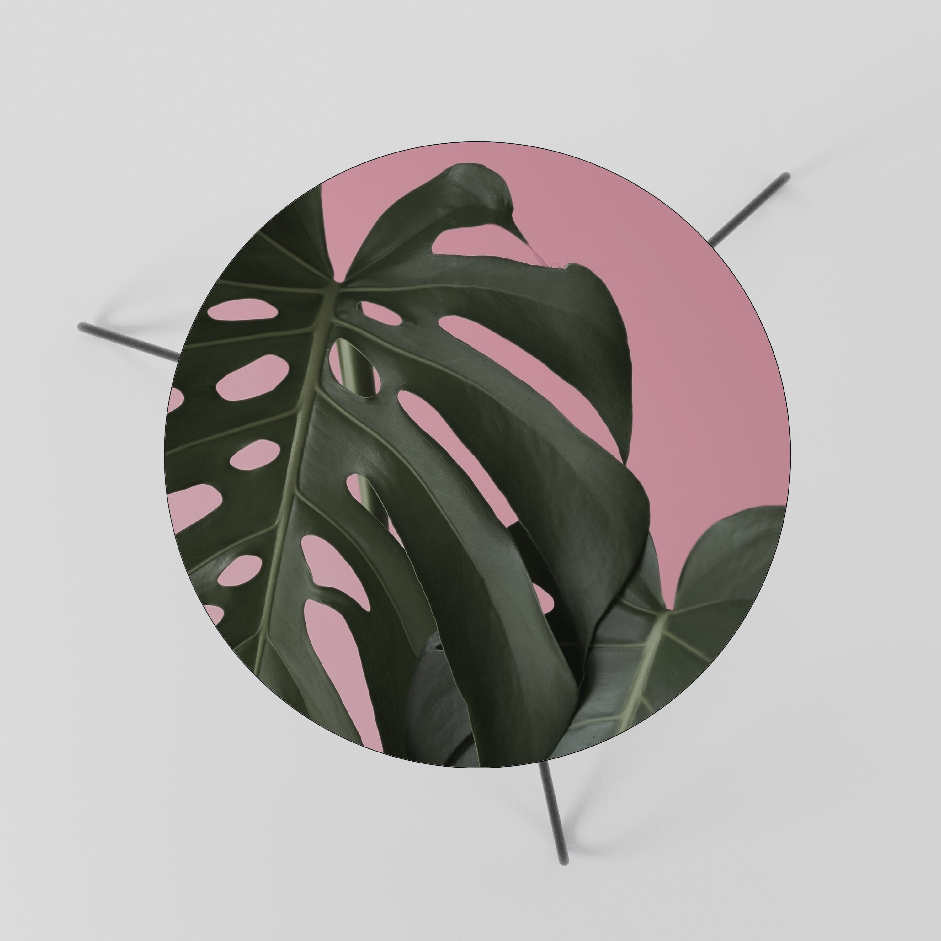 LADY MONSTERA Stolik kawowy mały