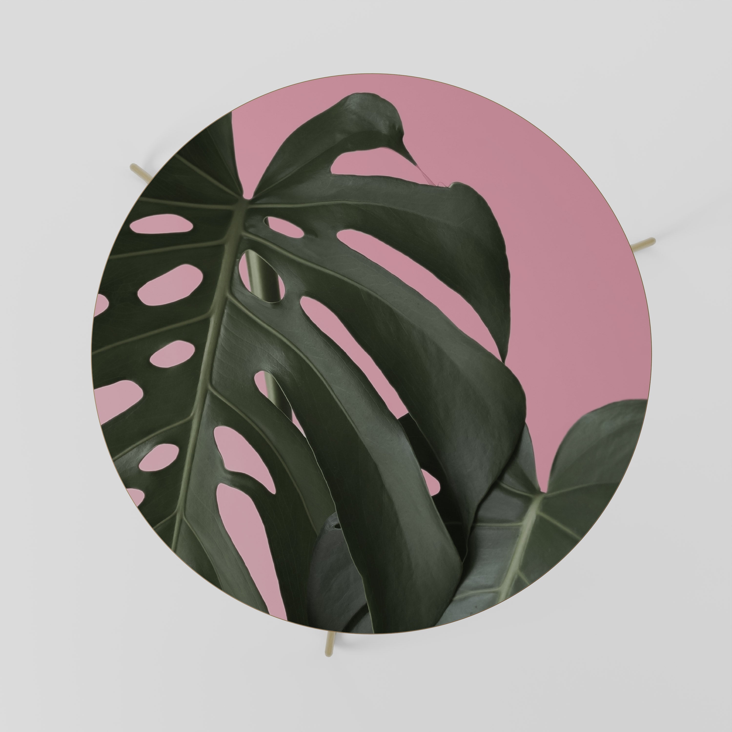 LADY MONSTERA Stolik kawowy duży