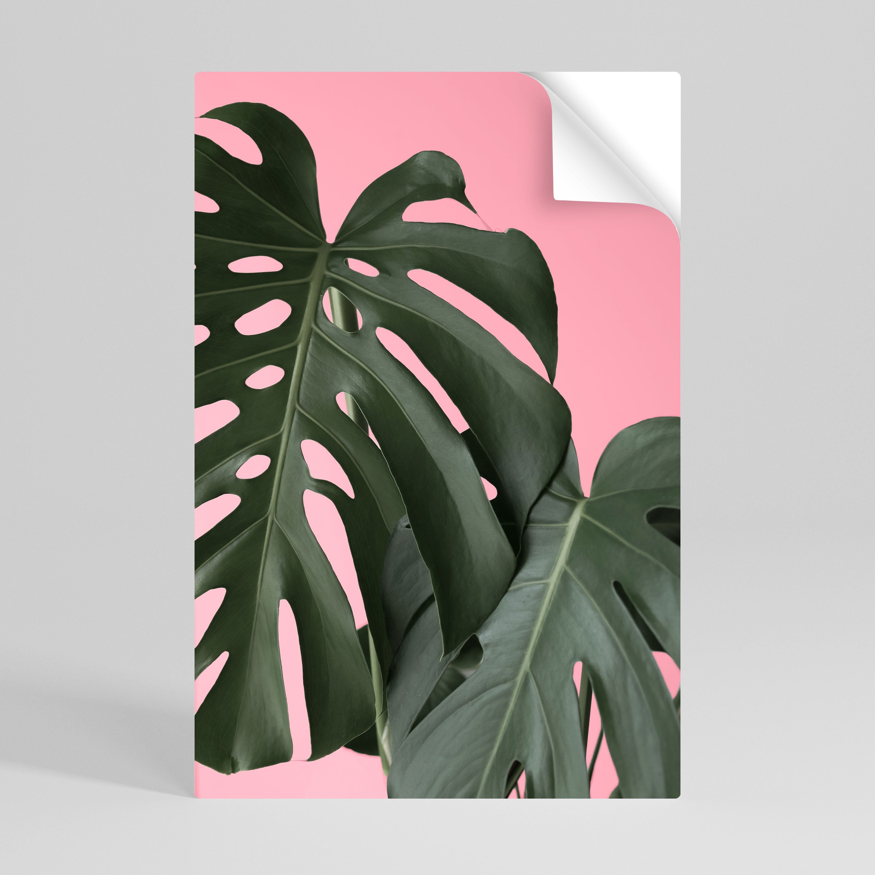 LADY MONSTERA Naklejka/Plakat pionowy