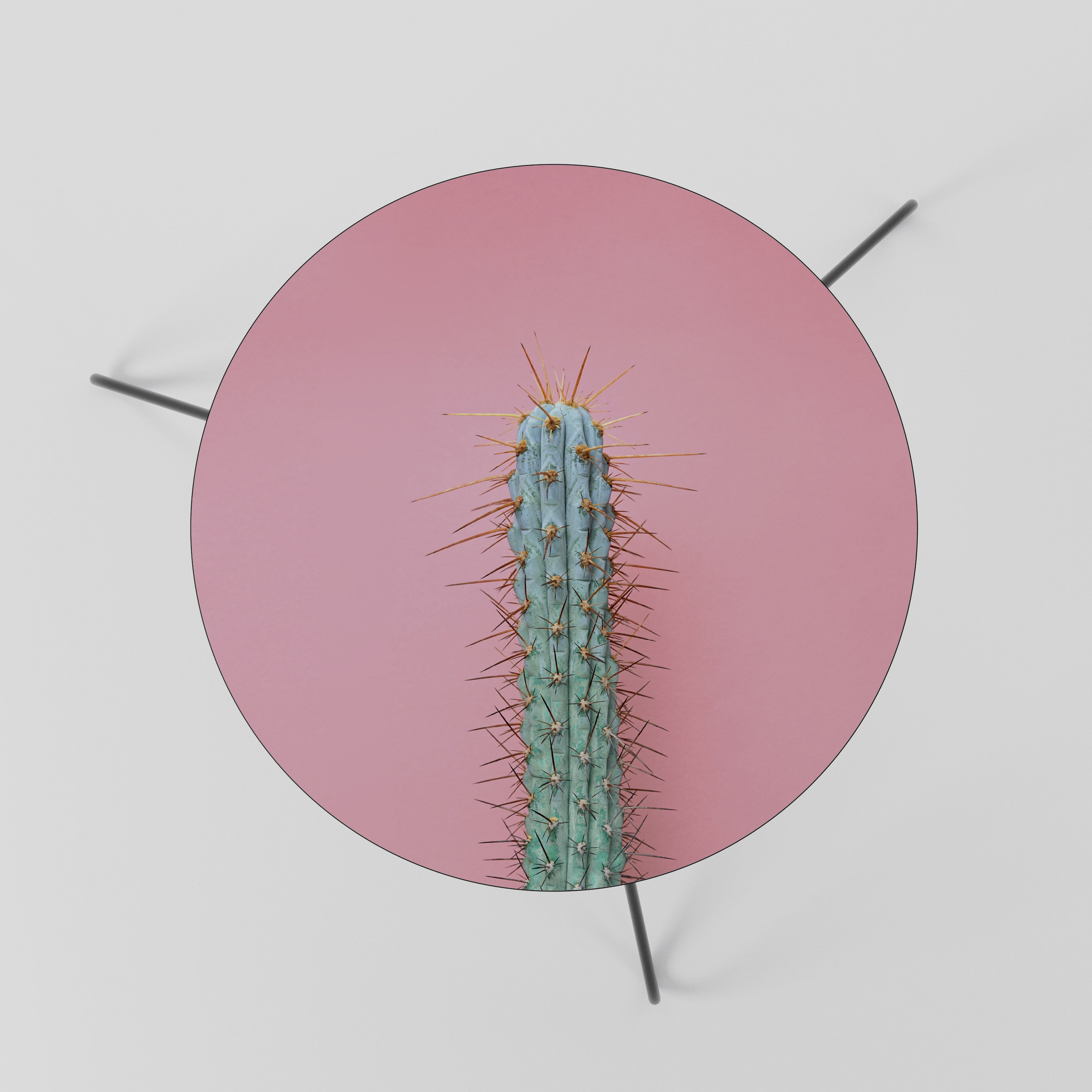 MISTER CACTUS Stolik kawowy mały