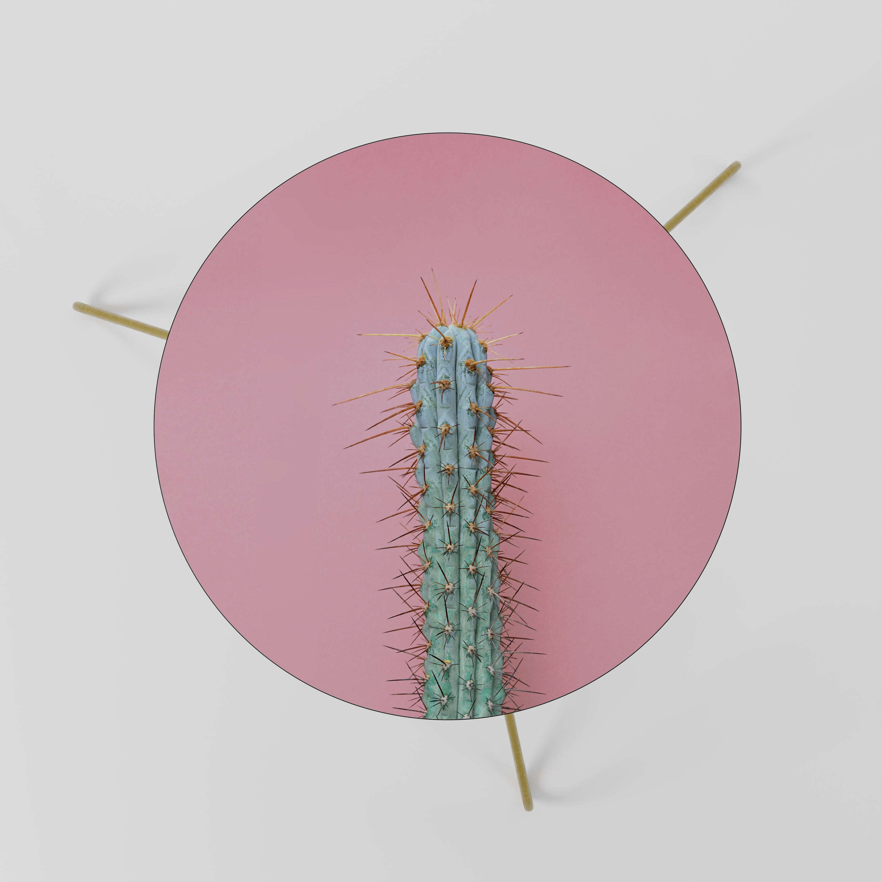 MISTER CACTUS Stolik kawowy mały