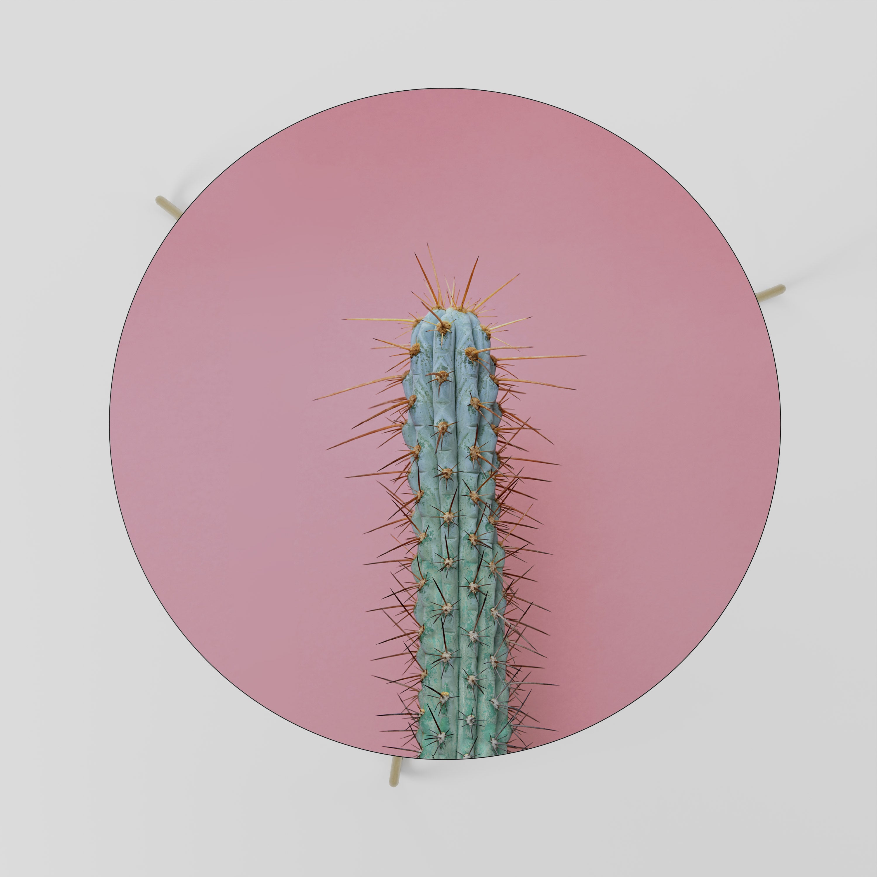 MISTER CACTUS Stolik kawowy duży