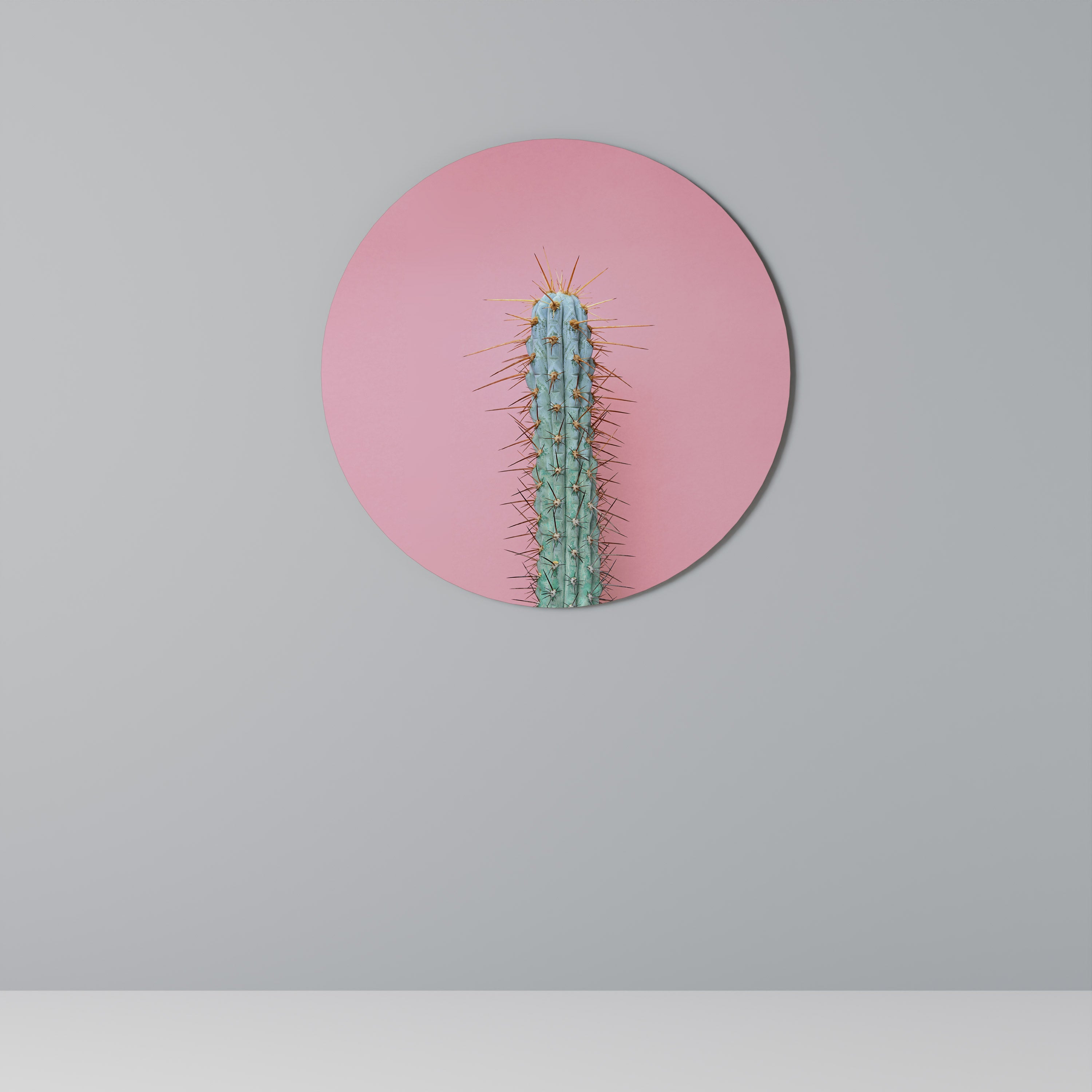 MISTER CACTUS Obraz okrągły