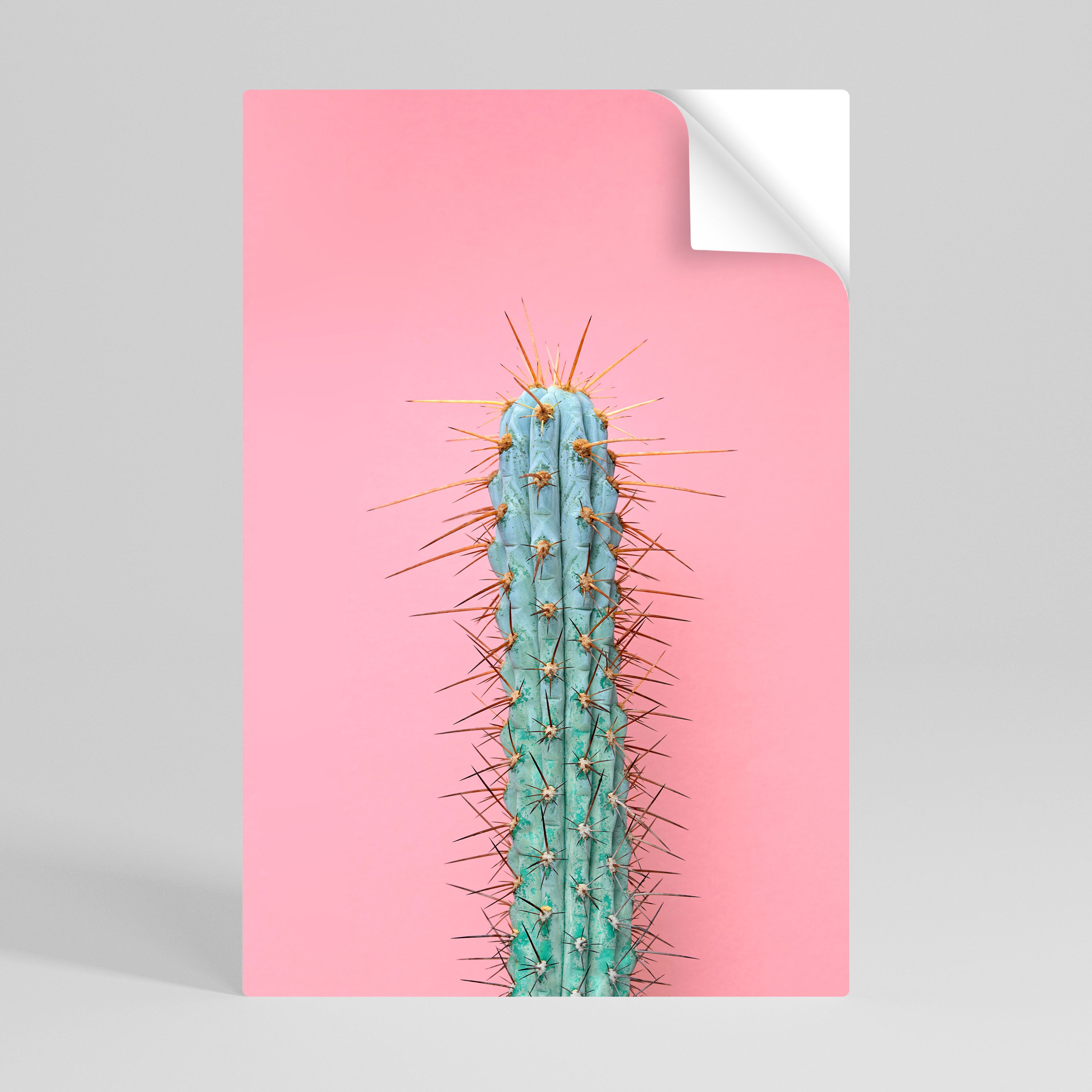 MISTER CACTUS Naklejka/Plakat pionowy