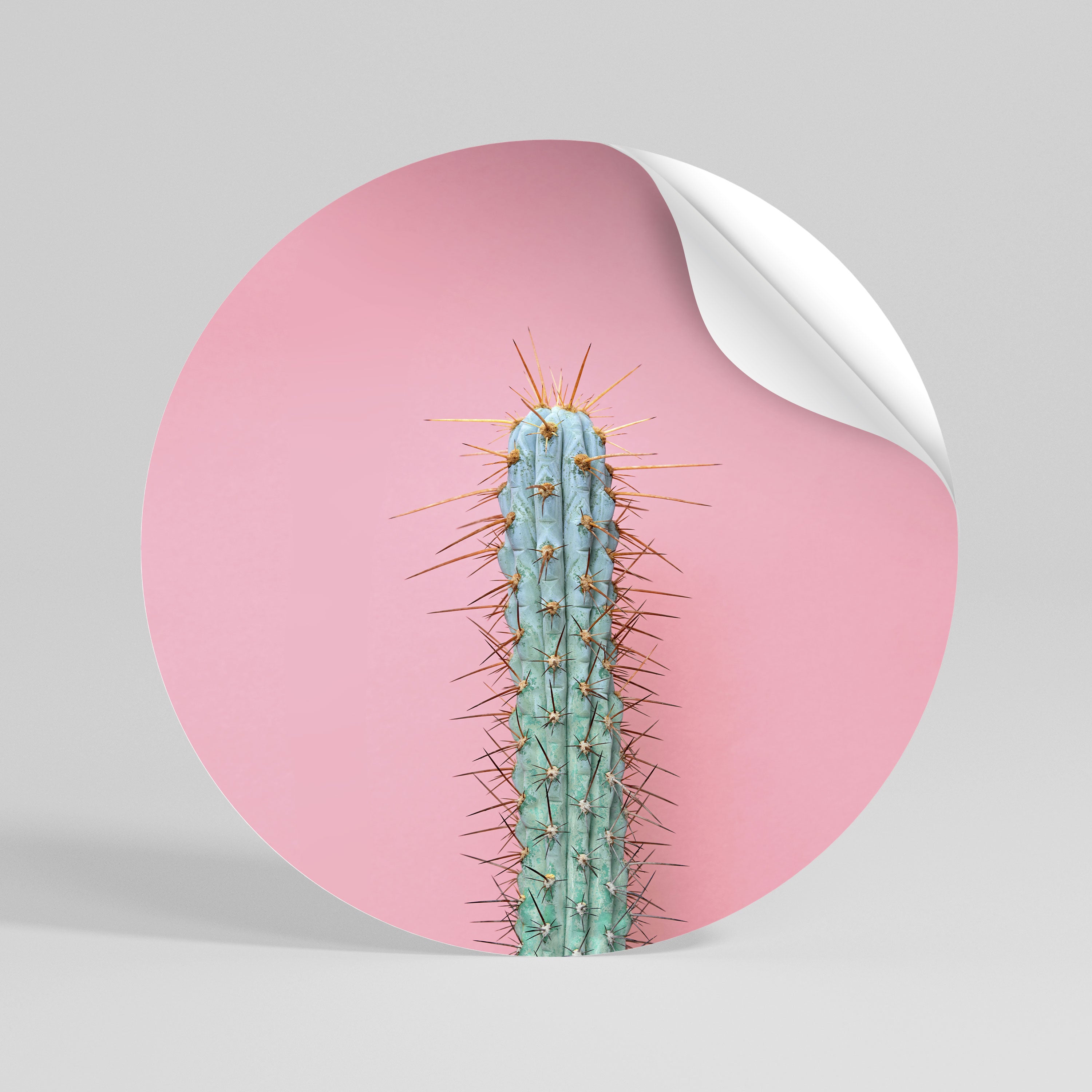 MISTER CACTUS Naklejka - okrągła
