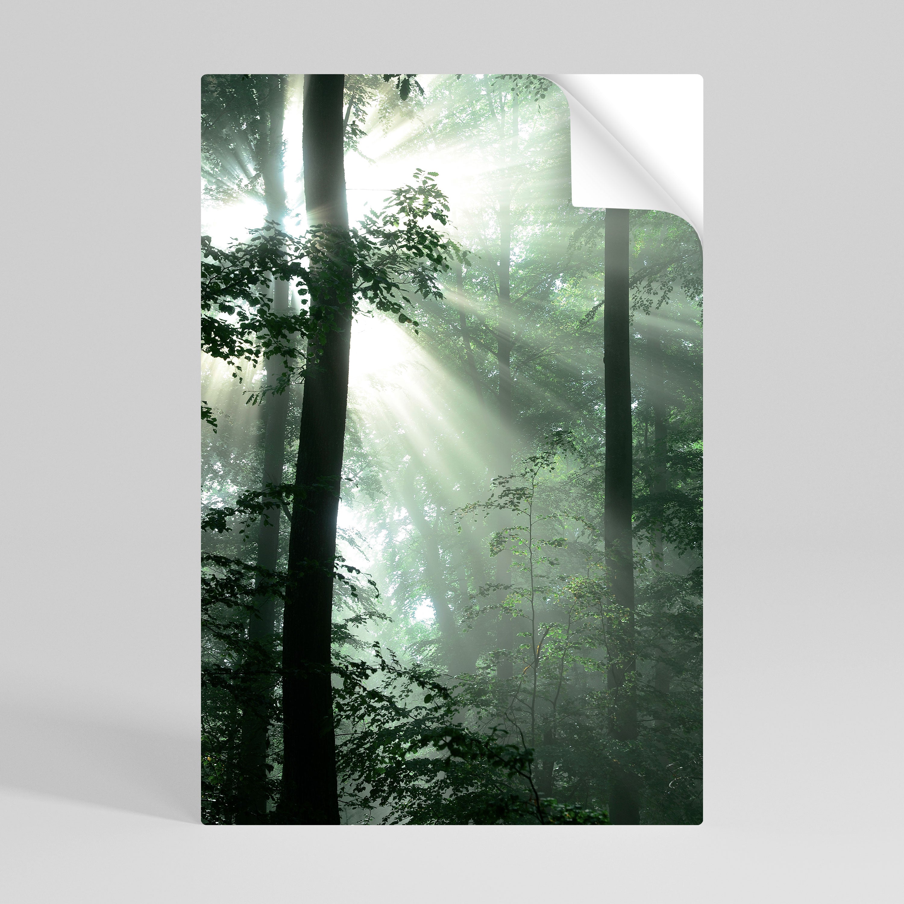 MYSTICAL SUNBEAMS Naklejka/Plakat pionowy